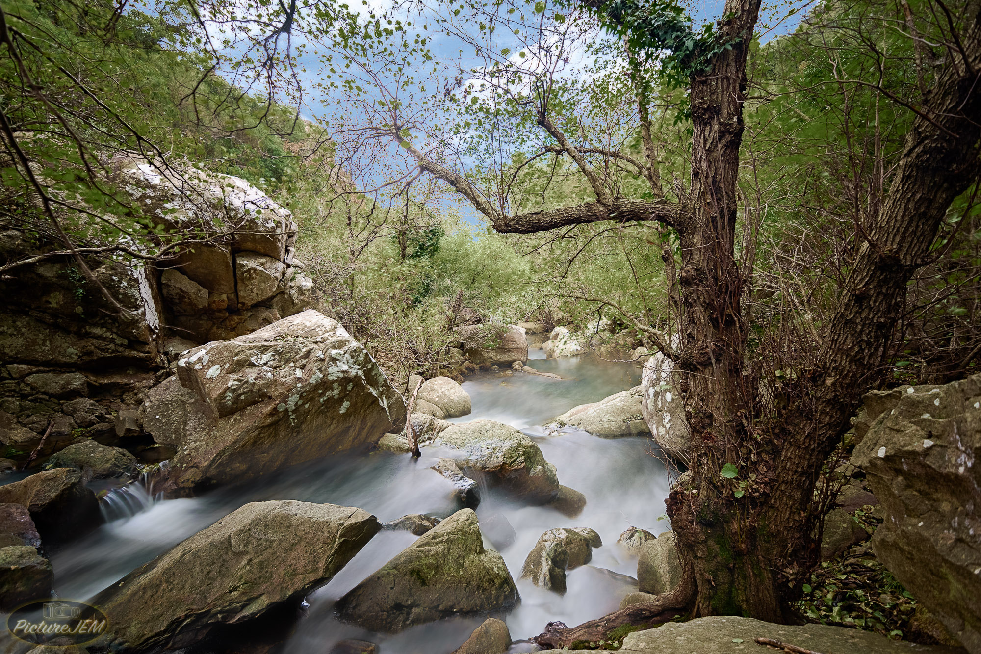 Nikon D5500 sample photo