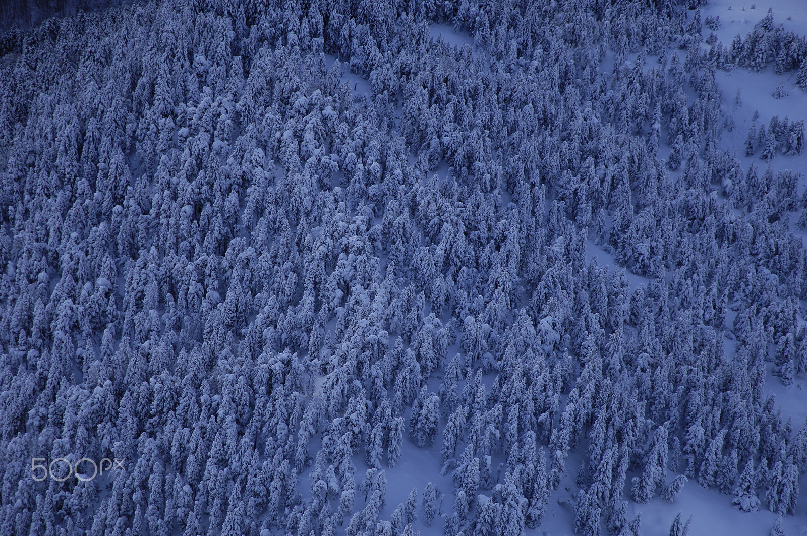 Nikon D2X sample photo. Snow graphic photography