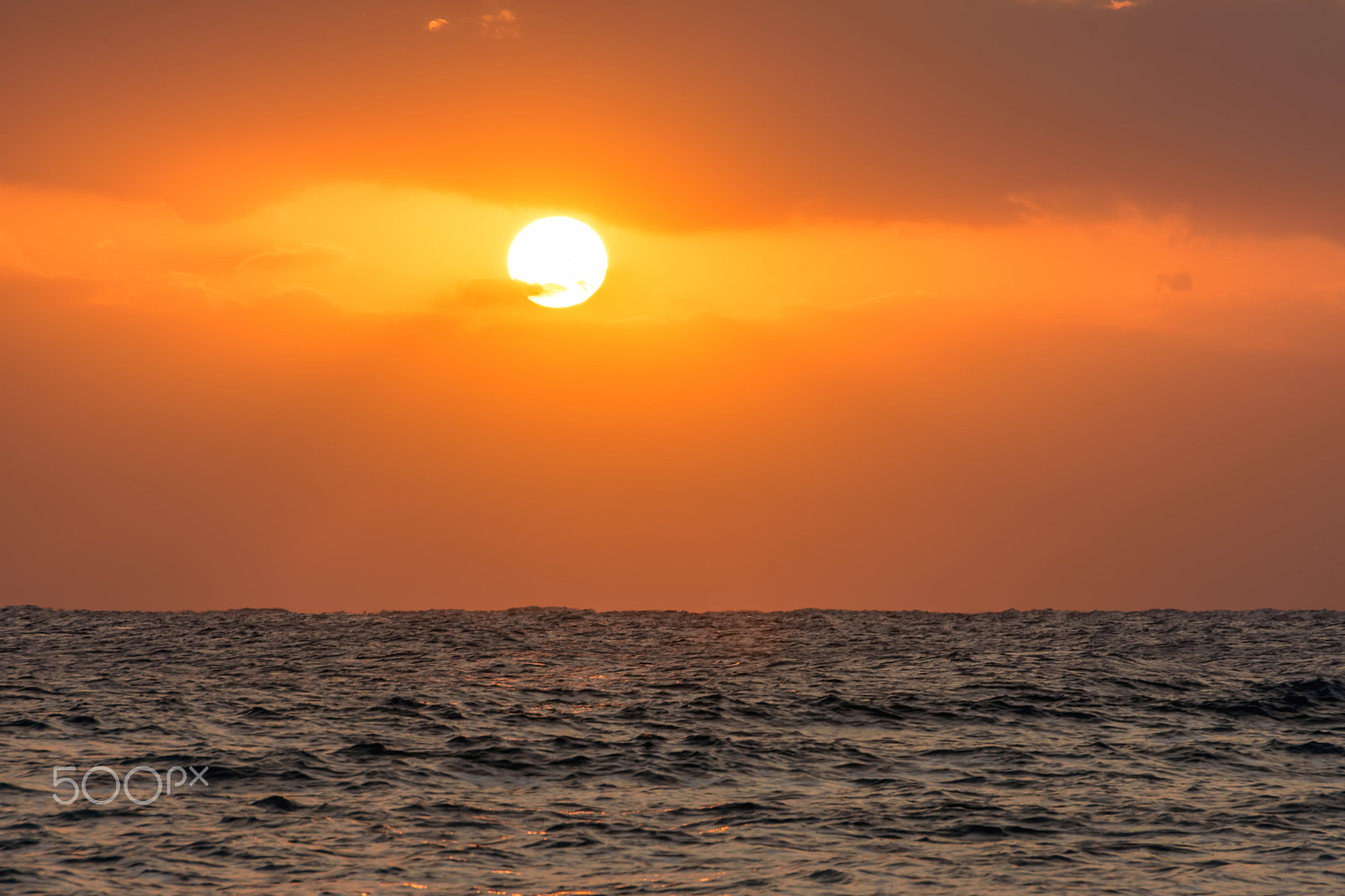 Nikon D7200 sample photo. Amazing close up warm sunrise  at red sea photography