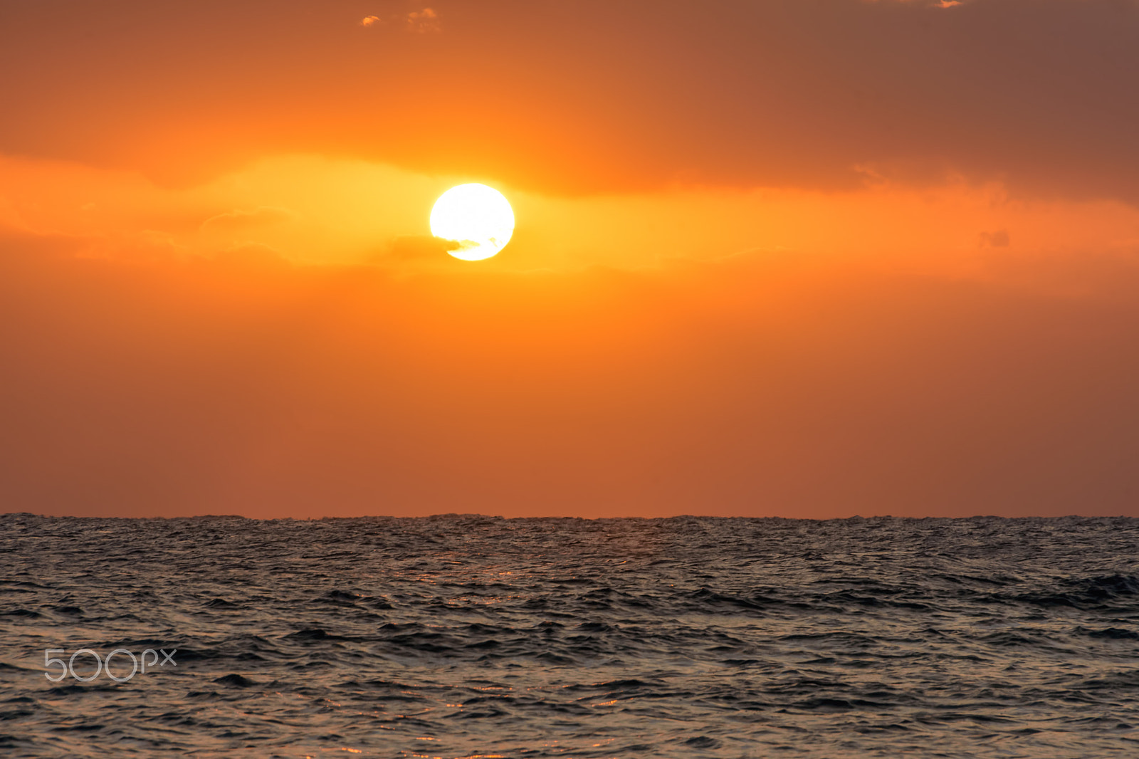 Sigma 18-250mm F3.5-6.3 DC OS HSM sample photo. Amazing close up warm sunrise  at red sea photography