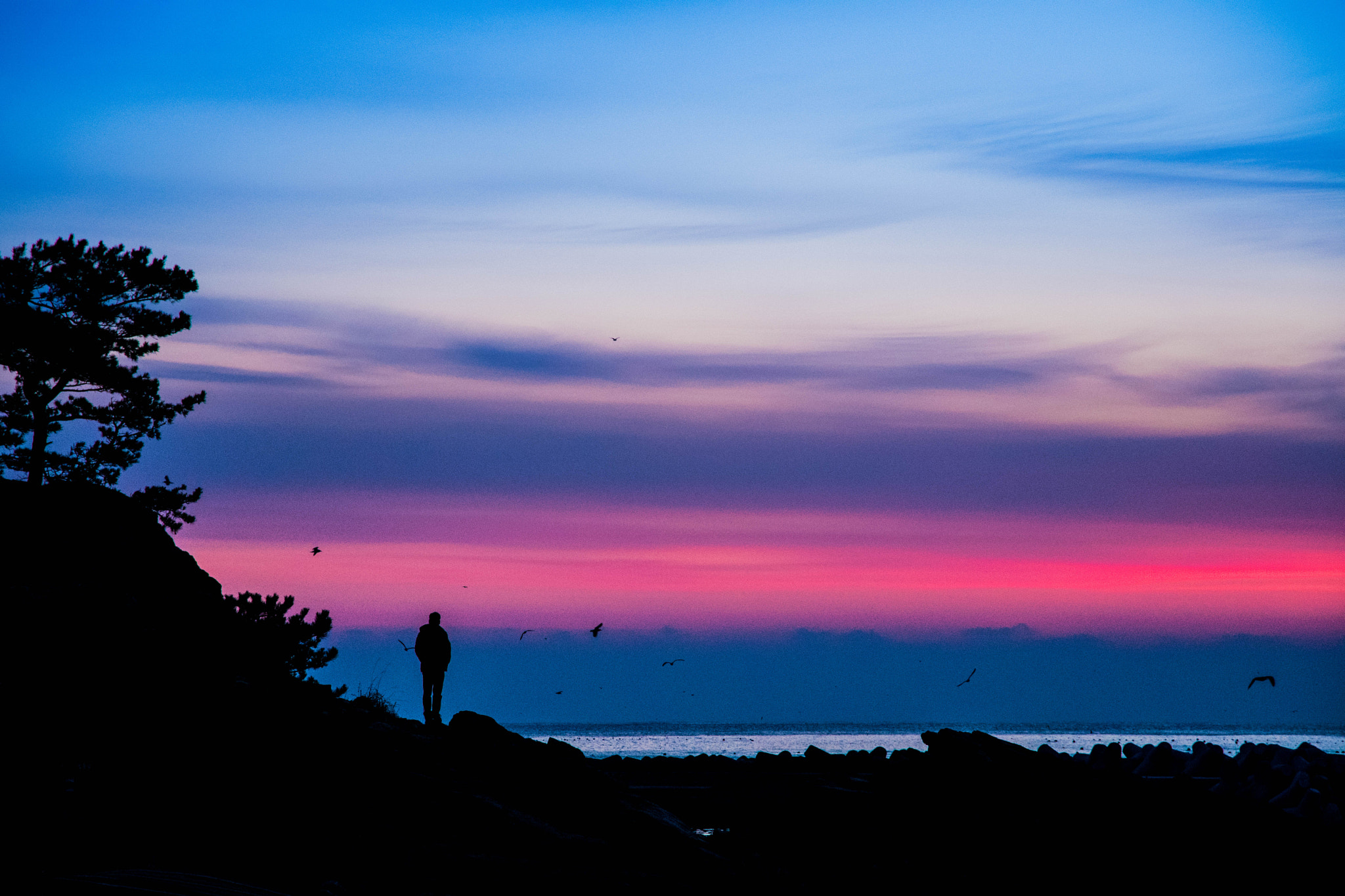 Nikon D500 sample photo. A man of dawn photography