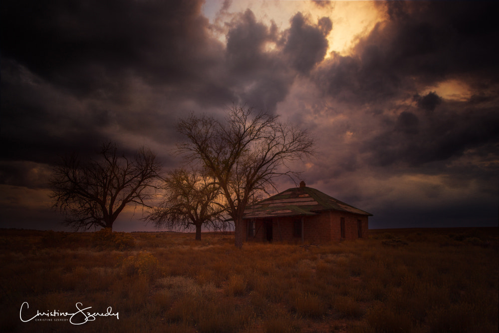 Canon EOS 5D Mark II + Canon EF 24mm F2.8 IS USM sample photo. At the end of the day photography