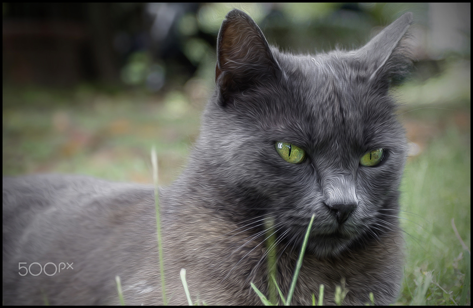 Canon EOS 60D + Canon EF 17-40mm F4L USM sample photo. Portrait photography