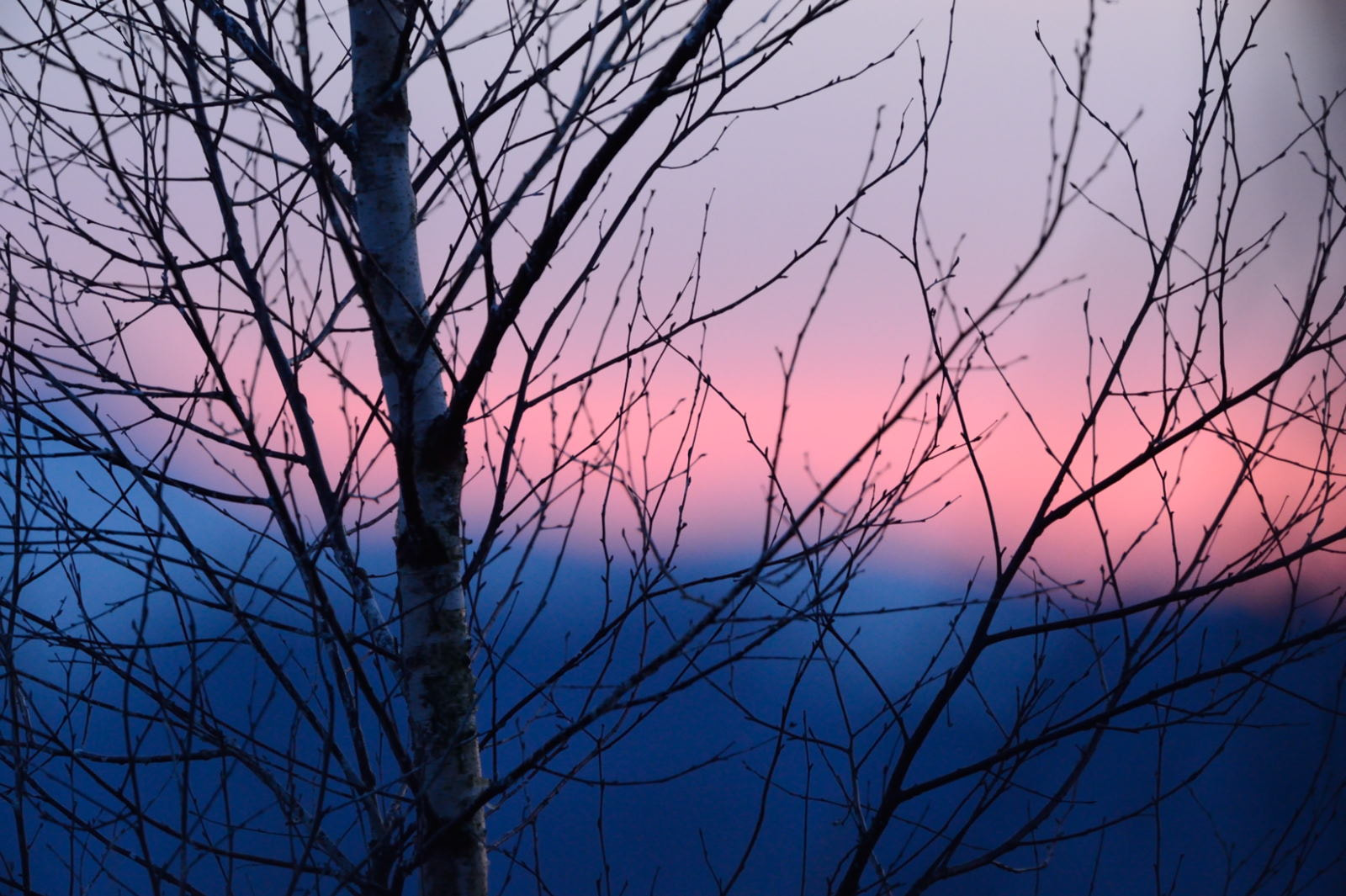 Nikon D4 sample photo. Landscape at sunset photography