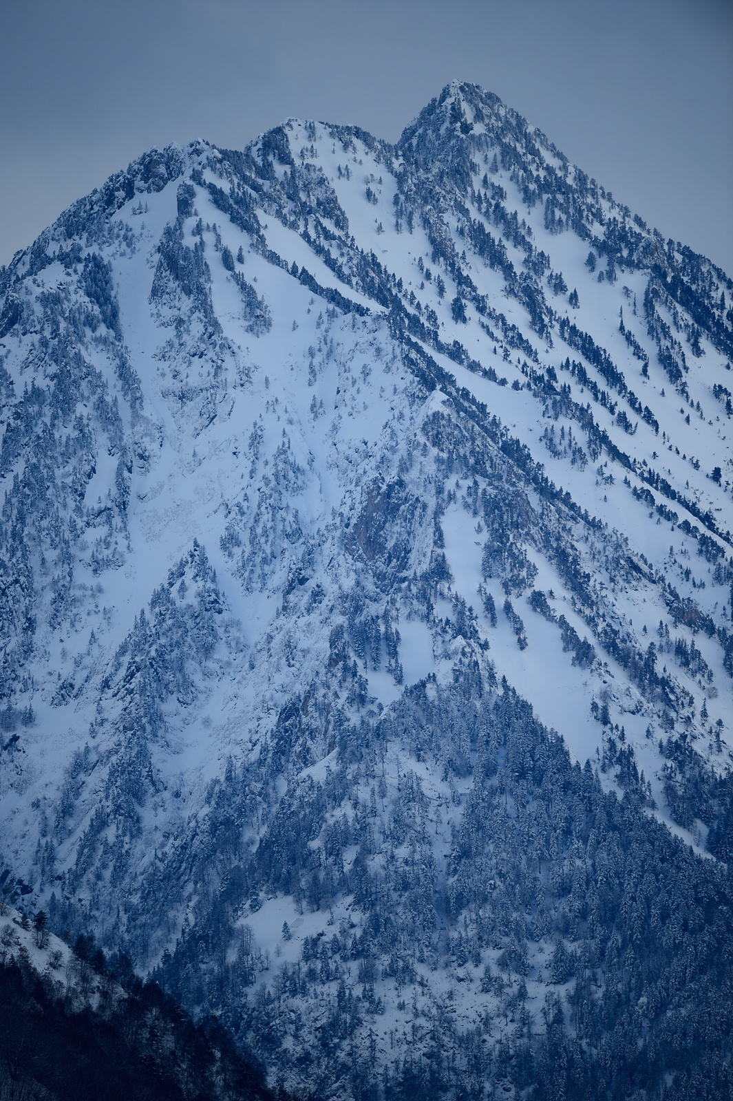 Nikon D4 + Nikon AF-S Nikkor 600mm F4G ED VR sample photo.   mountain french pyrénées photography