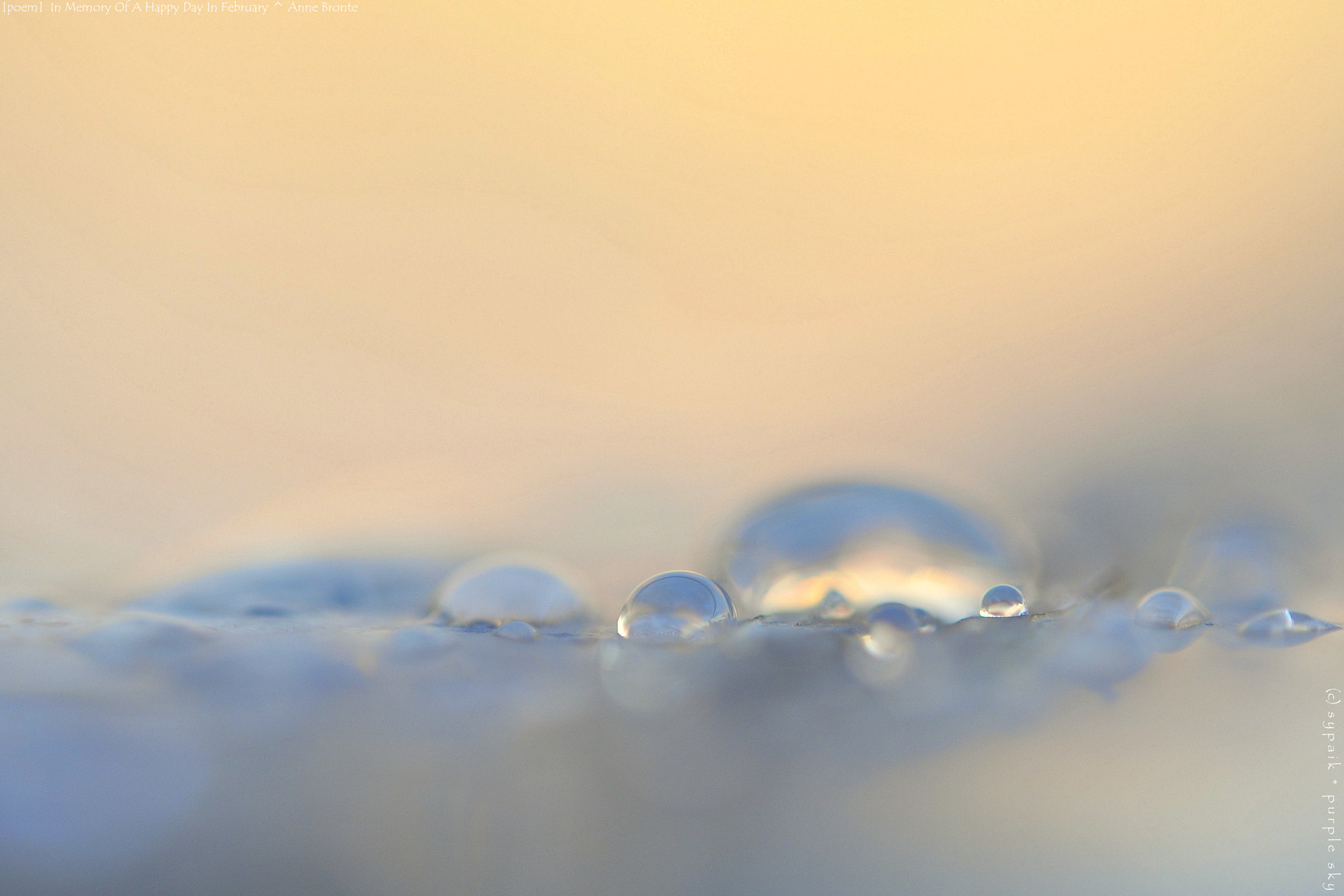 Nikon AF-S Micro-Nikkor 60mm F2.8G ED sample photo. In memory of a happy day in february photography