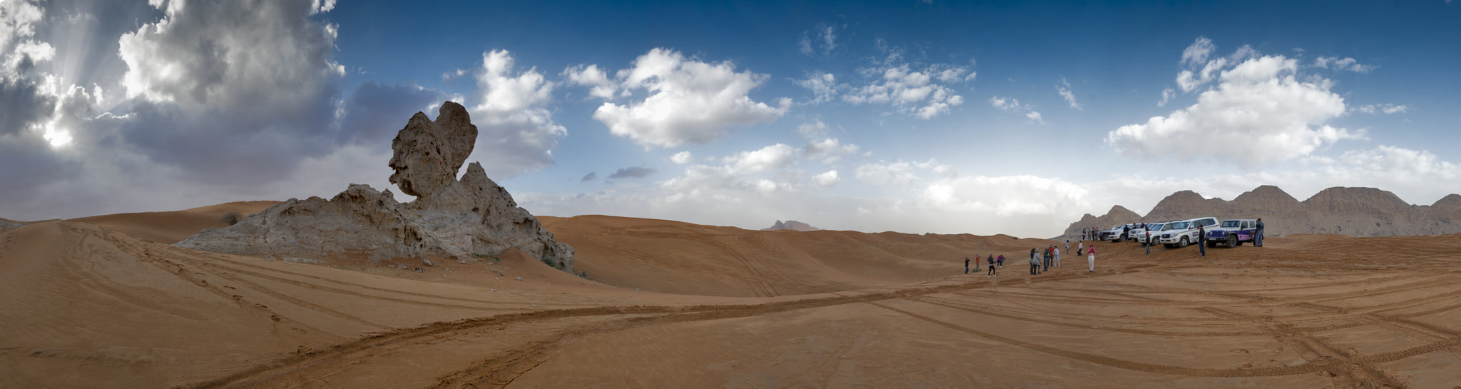 Nikon AF-S Nikkor 16-35mm F4G ED VR sample photo. Desert rose photography