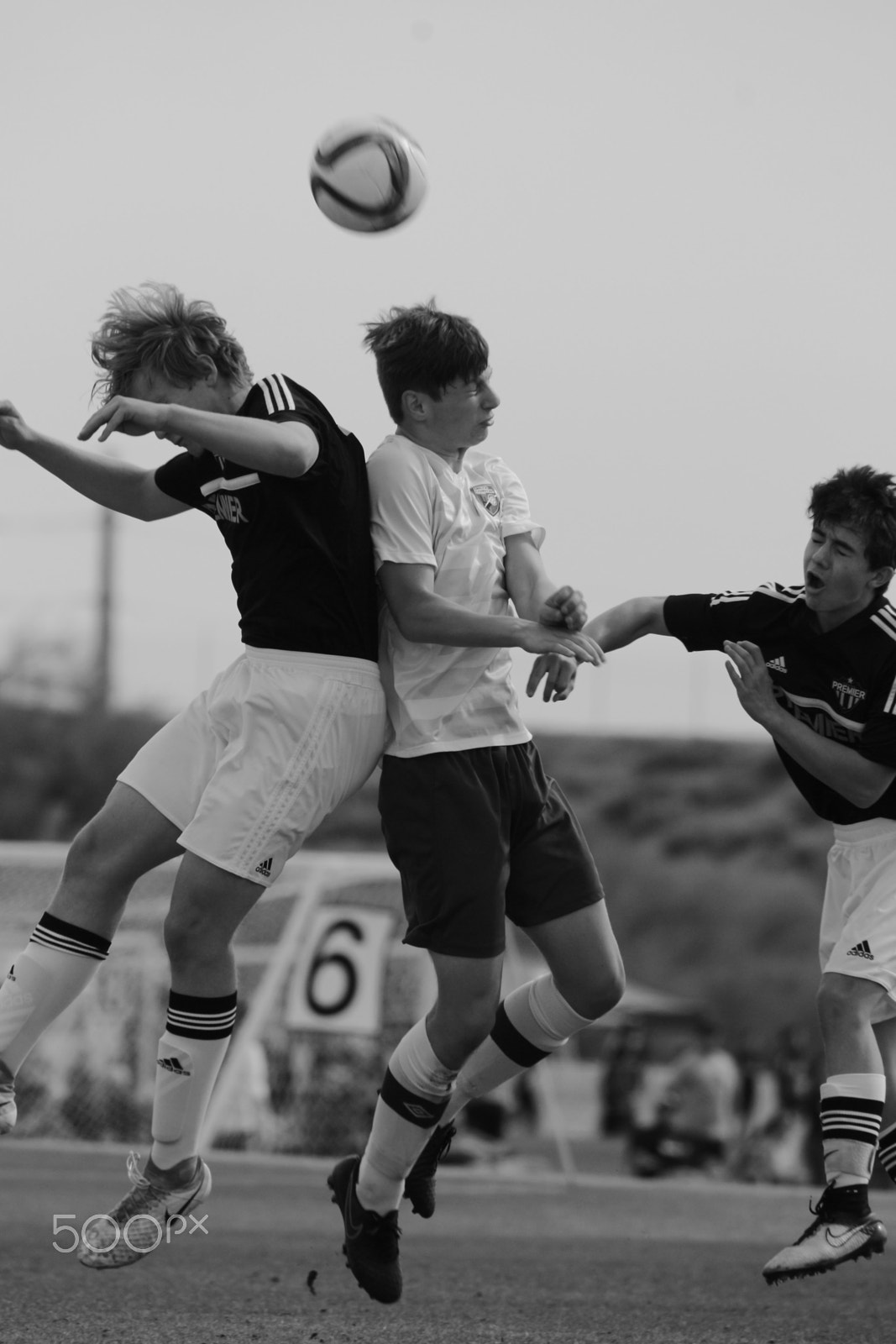 Sigma 150-500mm F5-6.3 DG OS HSM sample photo. Crunch! photography