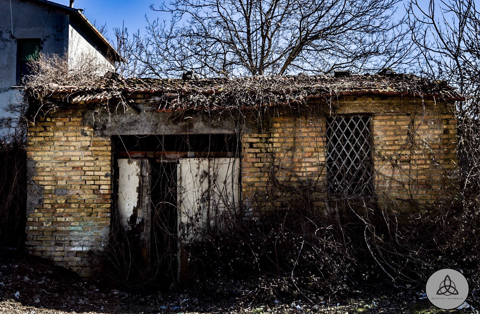 Nikon D3200 sample photo. Passeggiando. photography