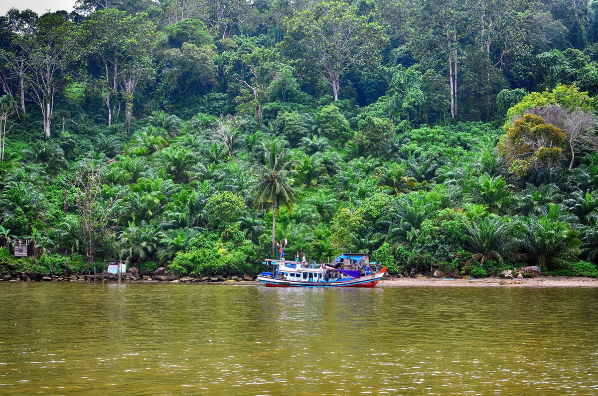 AF Zoom-Nikkor 28-85mm f/3.5-4.5 sample photo. Boat photography