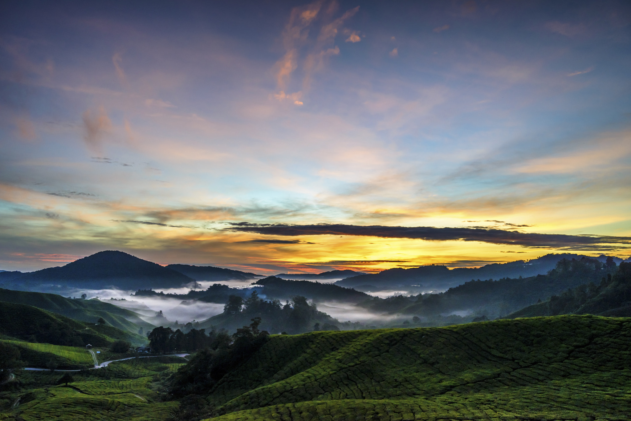 AF Zoom-Nikkor 28-80mm f/3.3-5.6G sample photo. Sunrise @ boh plantation photography