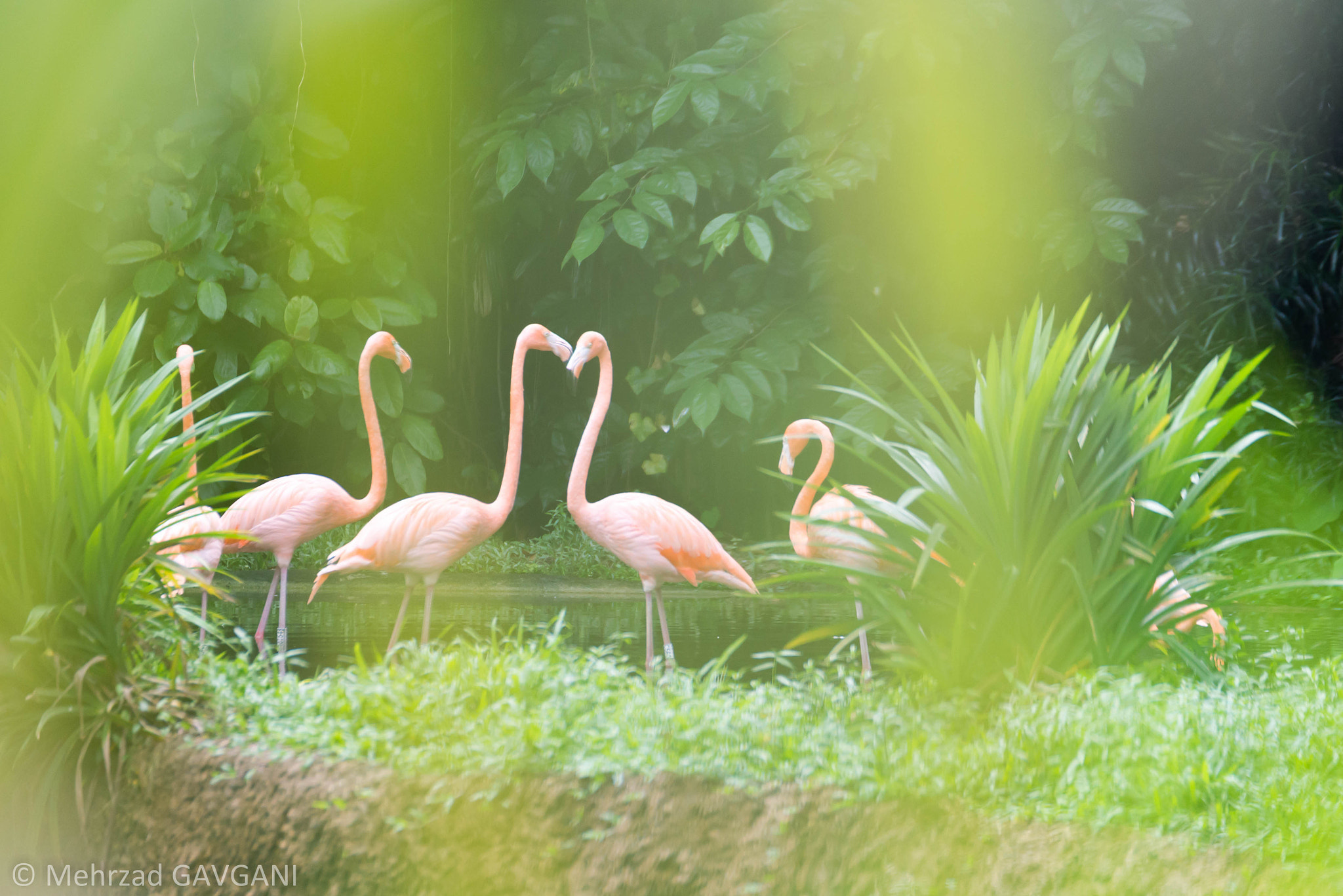 Tamron SP 70-200mm F2.8 Di VC USD sample photo. Mfg photography