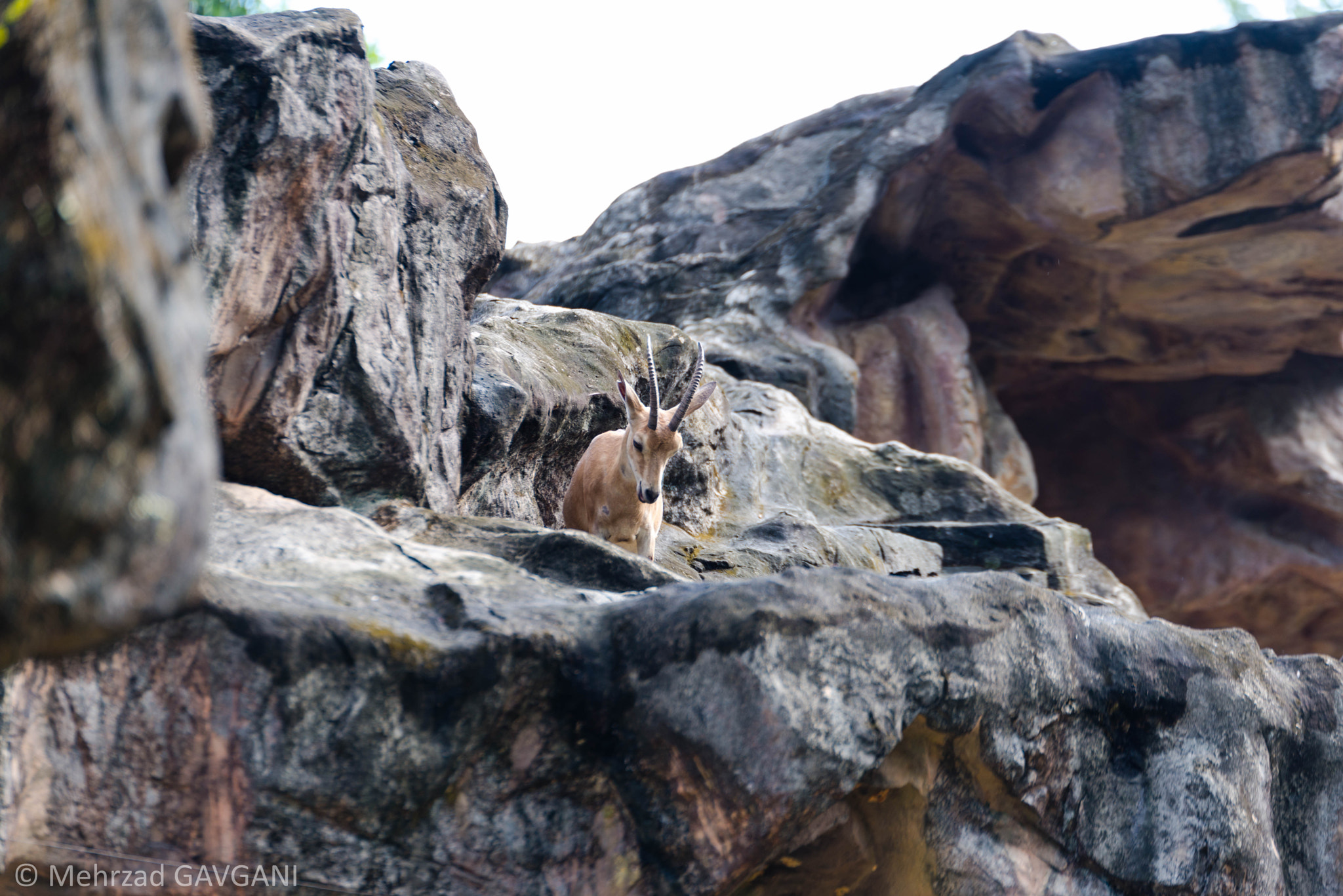 Tamron SP 70-200mm F2.8 Di VC USD sample photo. Mfg photography