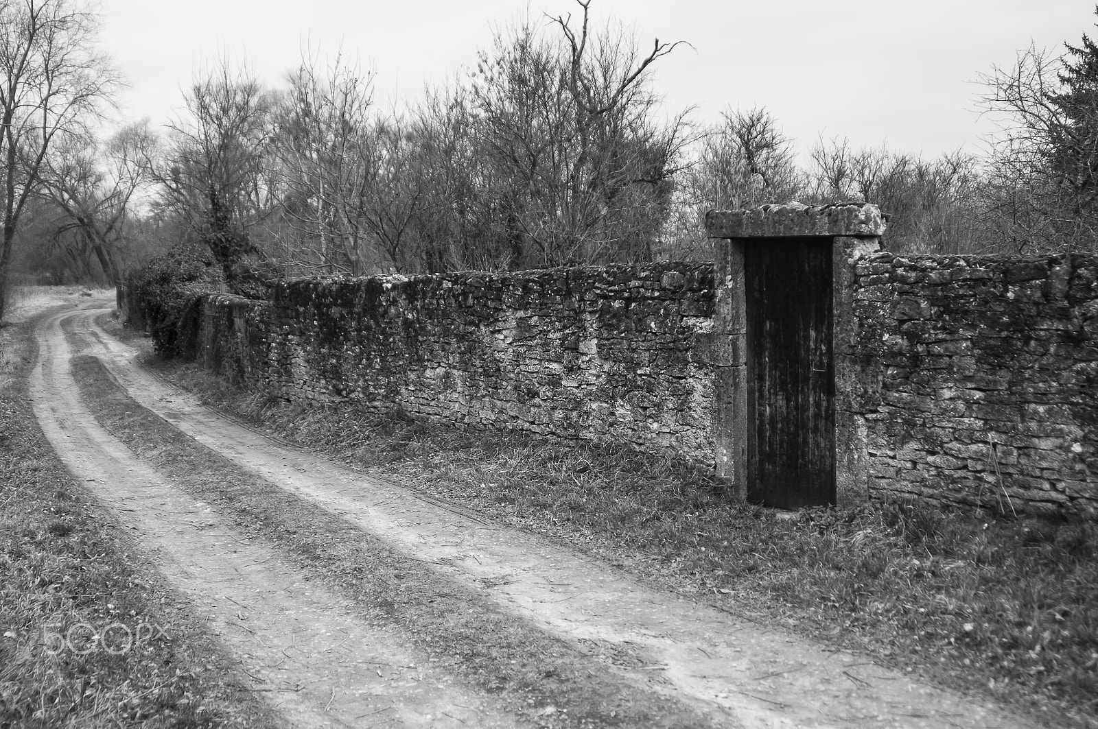 Nikon D300S sample photo. The door and the old wall photography