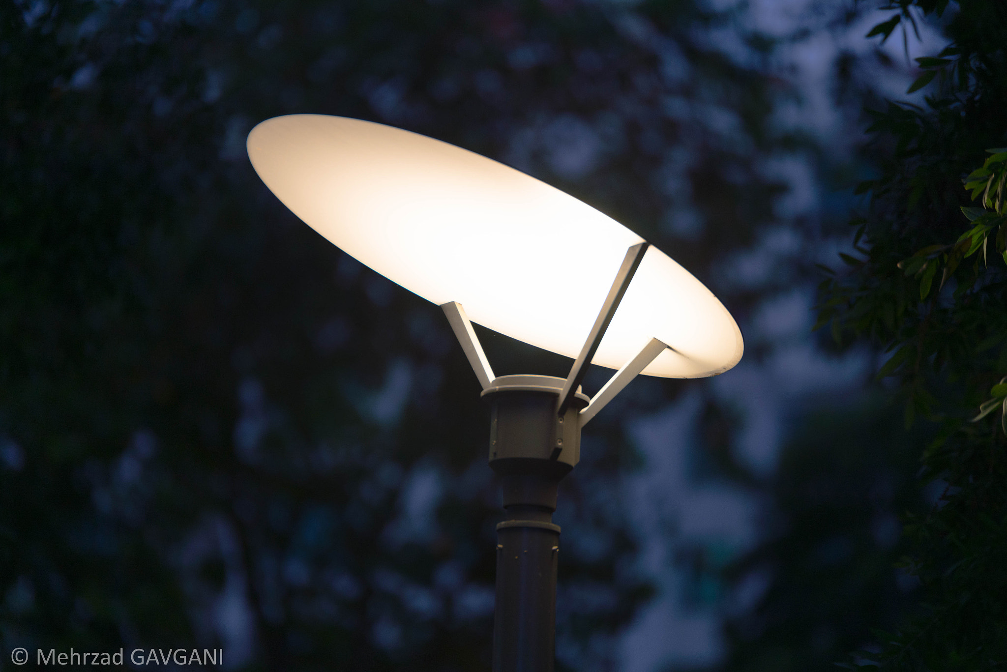 Tamron SP 70-200mm F2.8 Di VC USD sample photo. Mfg photography