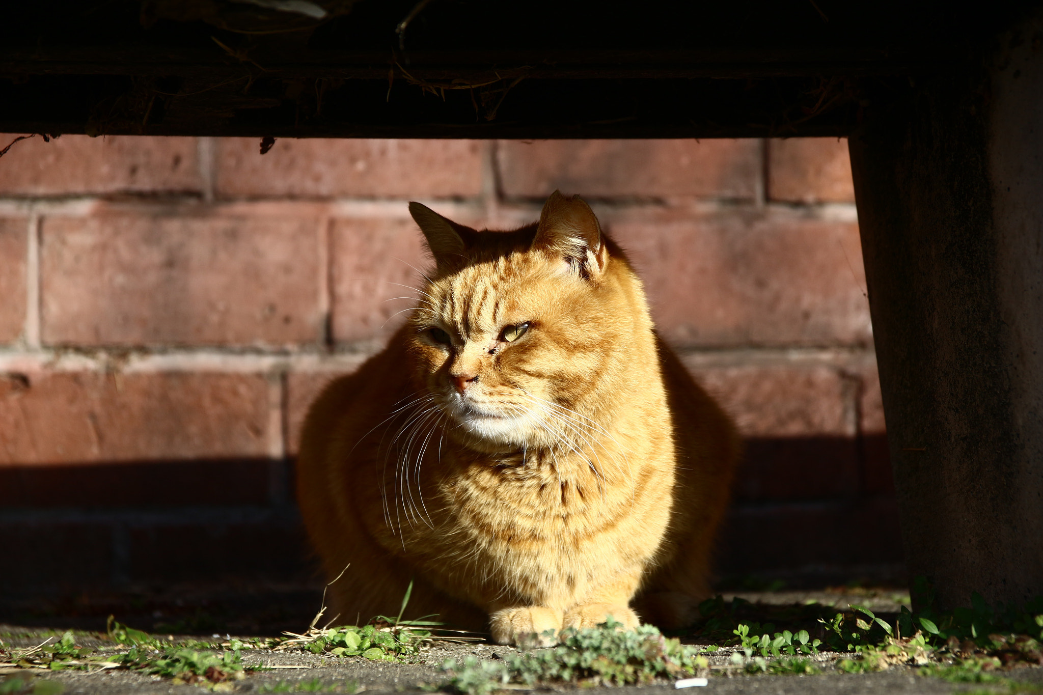 Canon EOS 700D (EOS Rebel T5i / EOS Kiss X7i) + Sigma 17-70mm F2.8-4 DC Macro OS HSM sample photo. Even photography