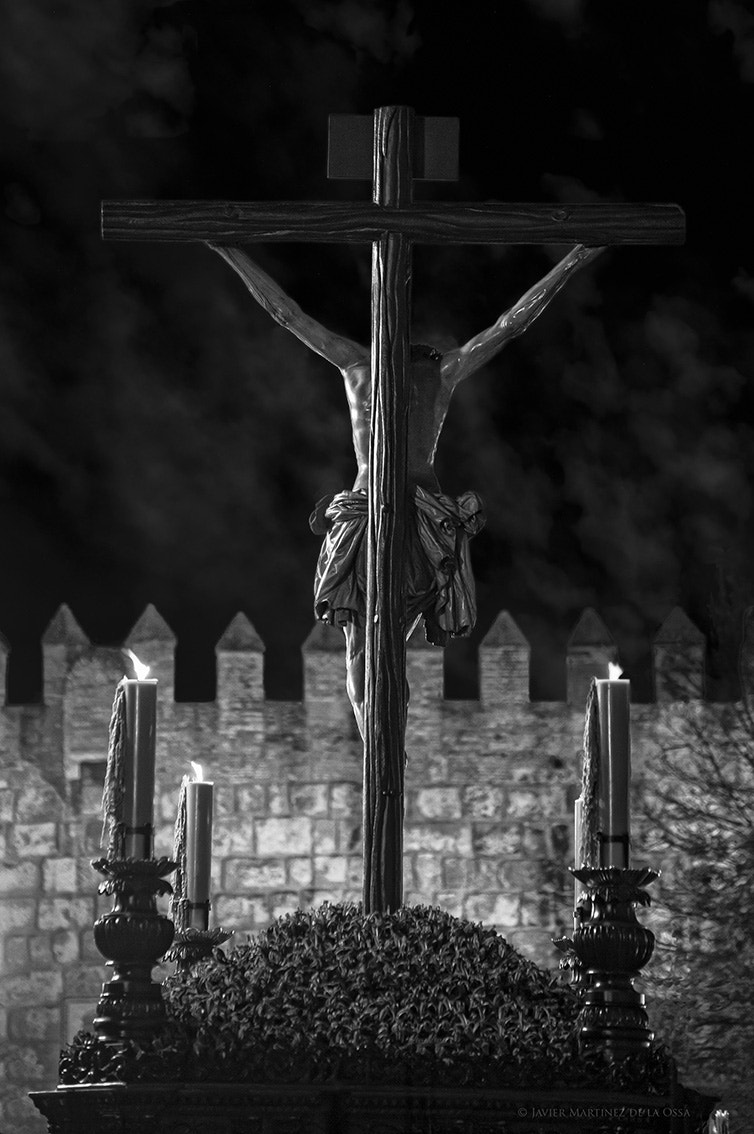 Nikon D700 sample photo. El amor está muerto.... photography