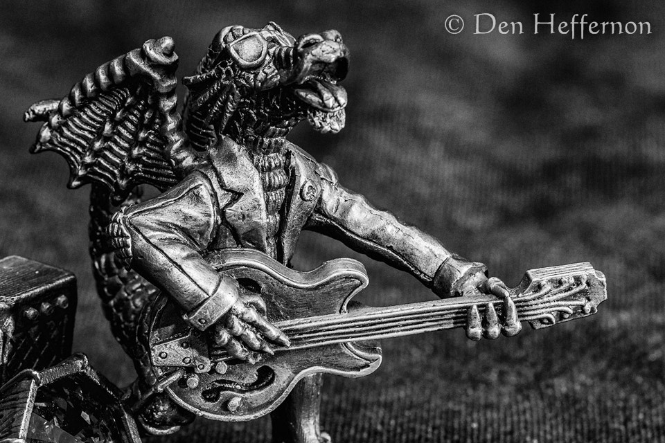 Canon EF 100mm F2.8 Macro USM sample photo. Heavy metal photography