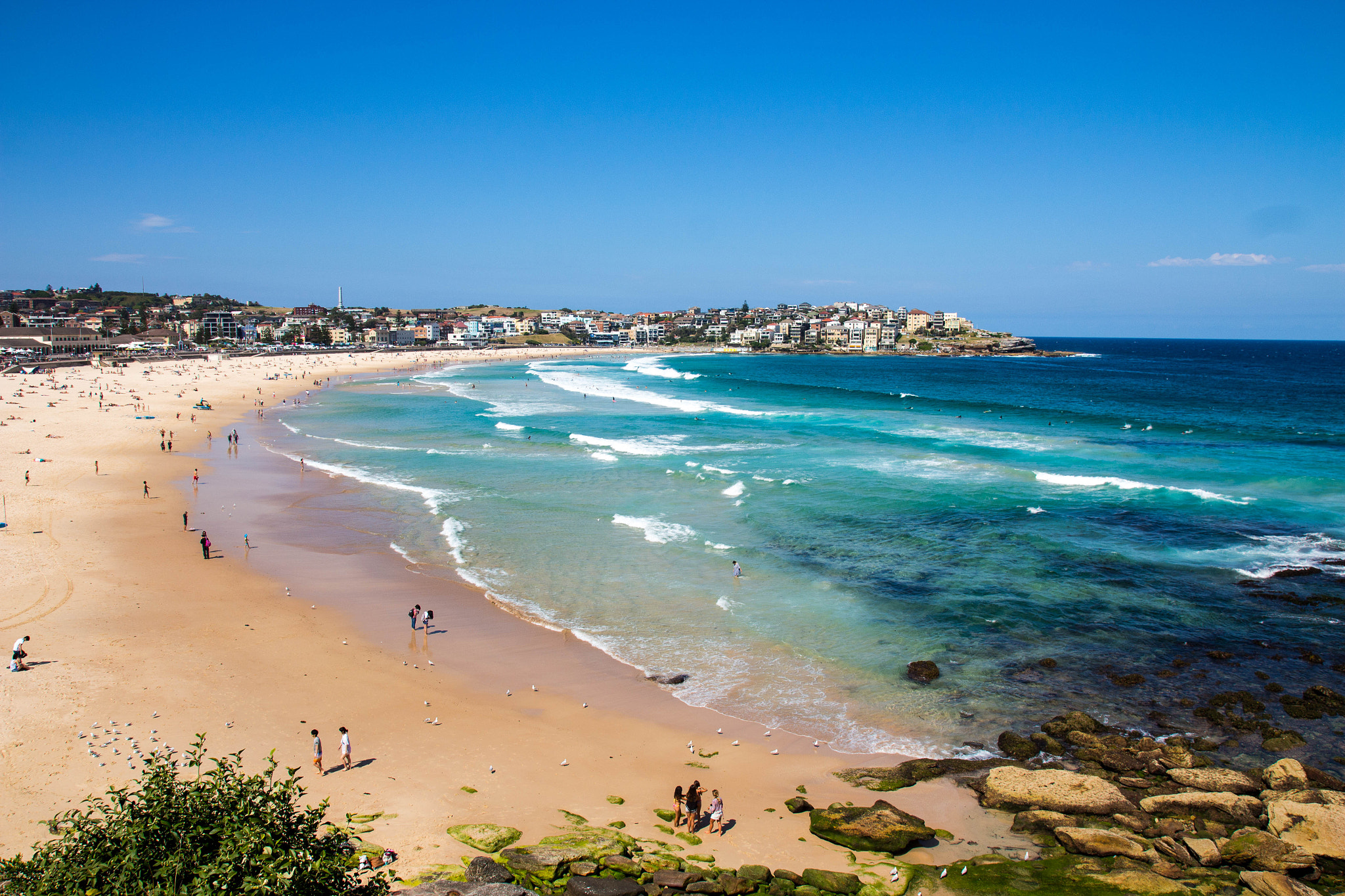 Canon EOS 650D (EOS Rebel T4i / EOS Kiss X6i) sample photo. Bondi beach from an iceberg photography