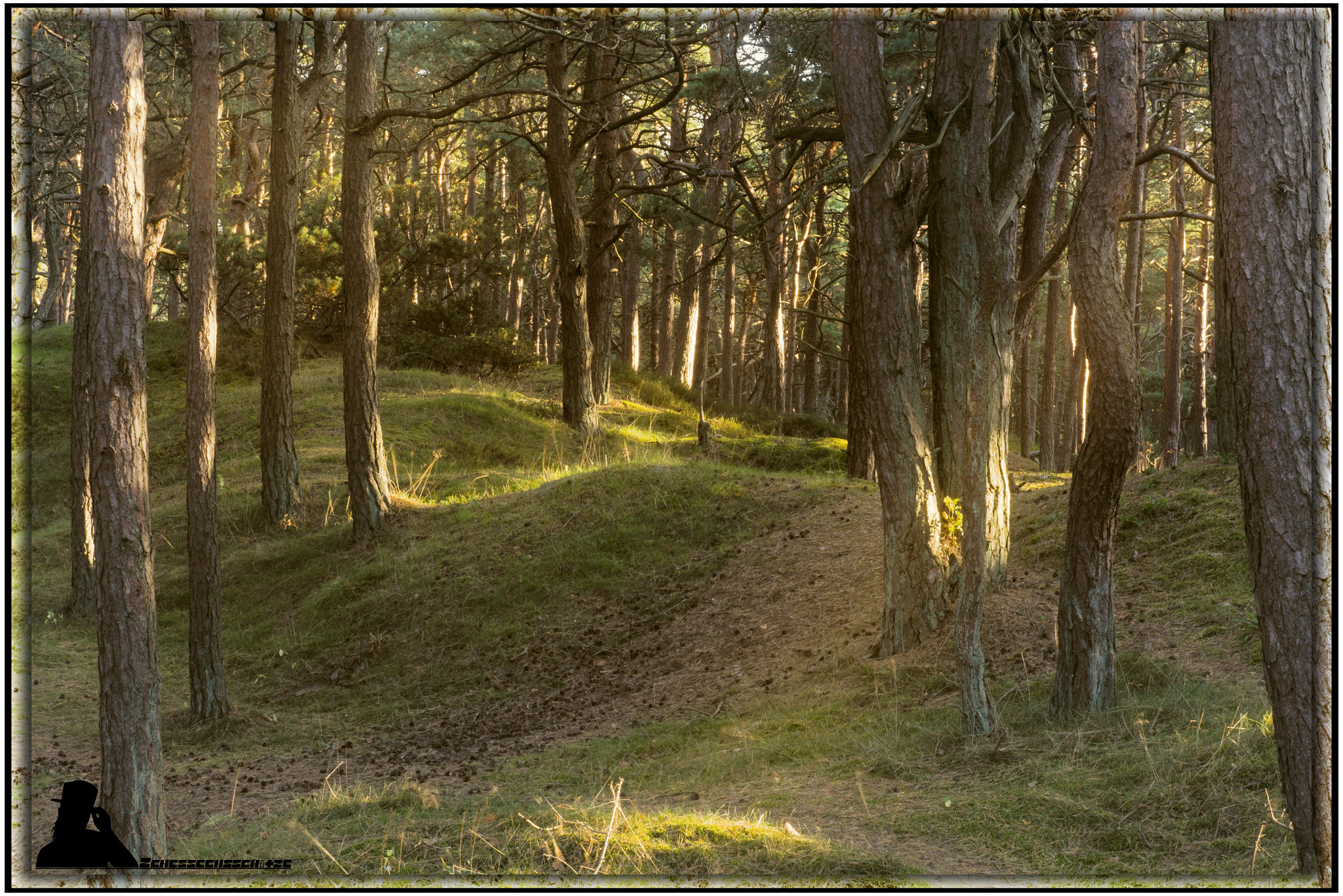 Tamron SP AF 17-50mm F2.8 XR Di II LD Aspherical (IF) sample photo. Clowe photography