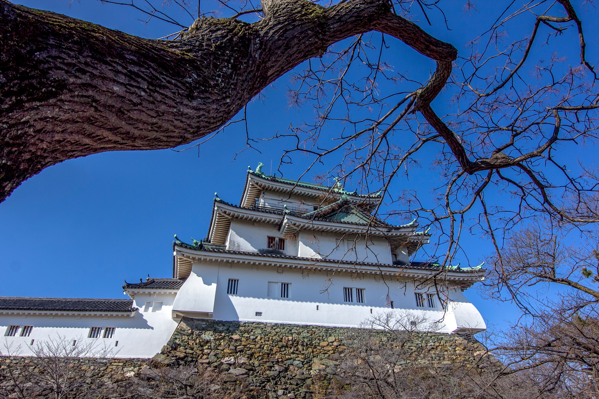Canon EOS 60D sample photo. Wakayama photography
