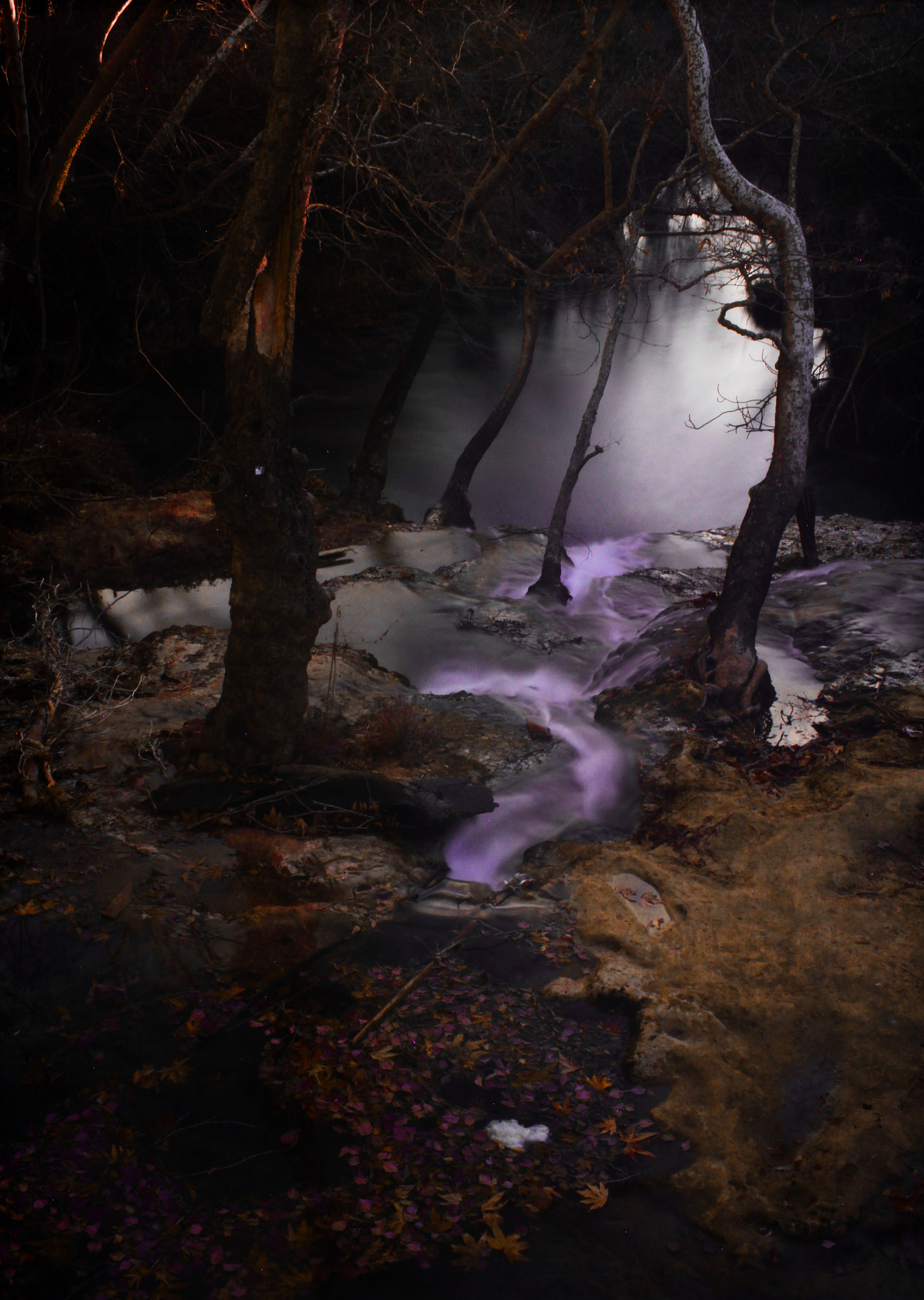 Canon EF-S 24mm F2.8 STM sample photo. Img photography