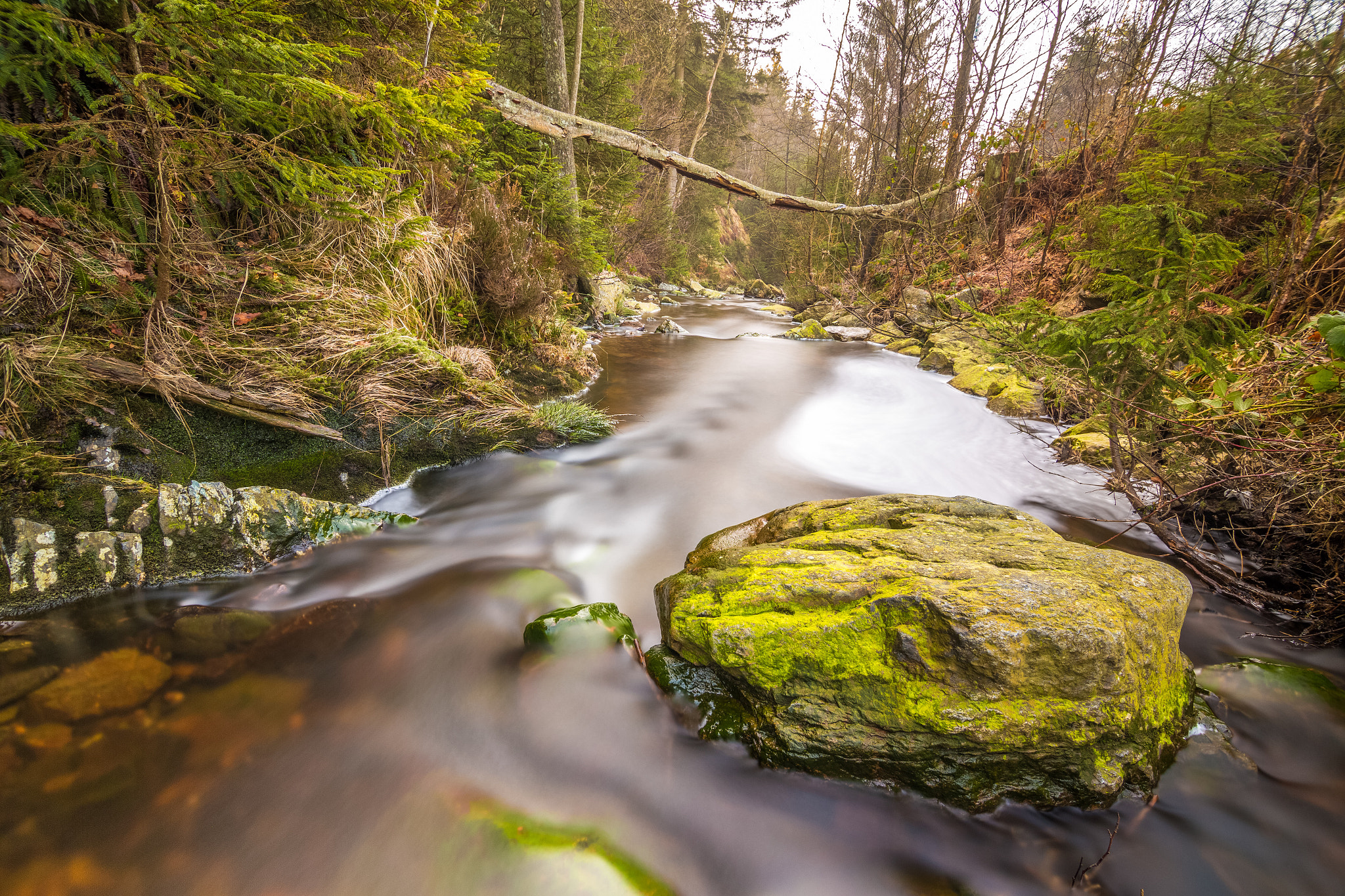 Canon EOS 6D + Tokina AT-X Pro 11-16mm F2.8 DX sample photo. A long exposure of a small river in belgium photography