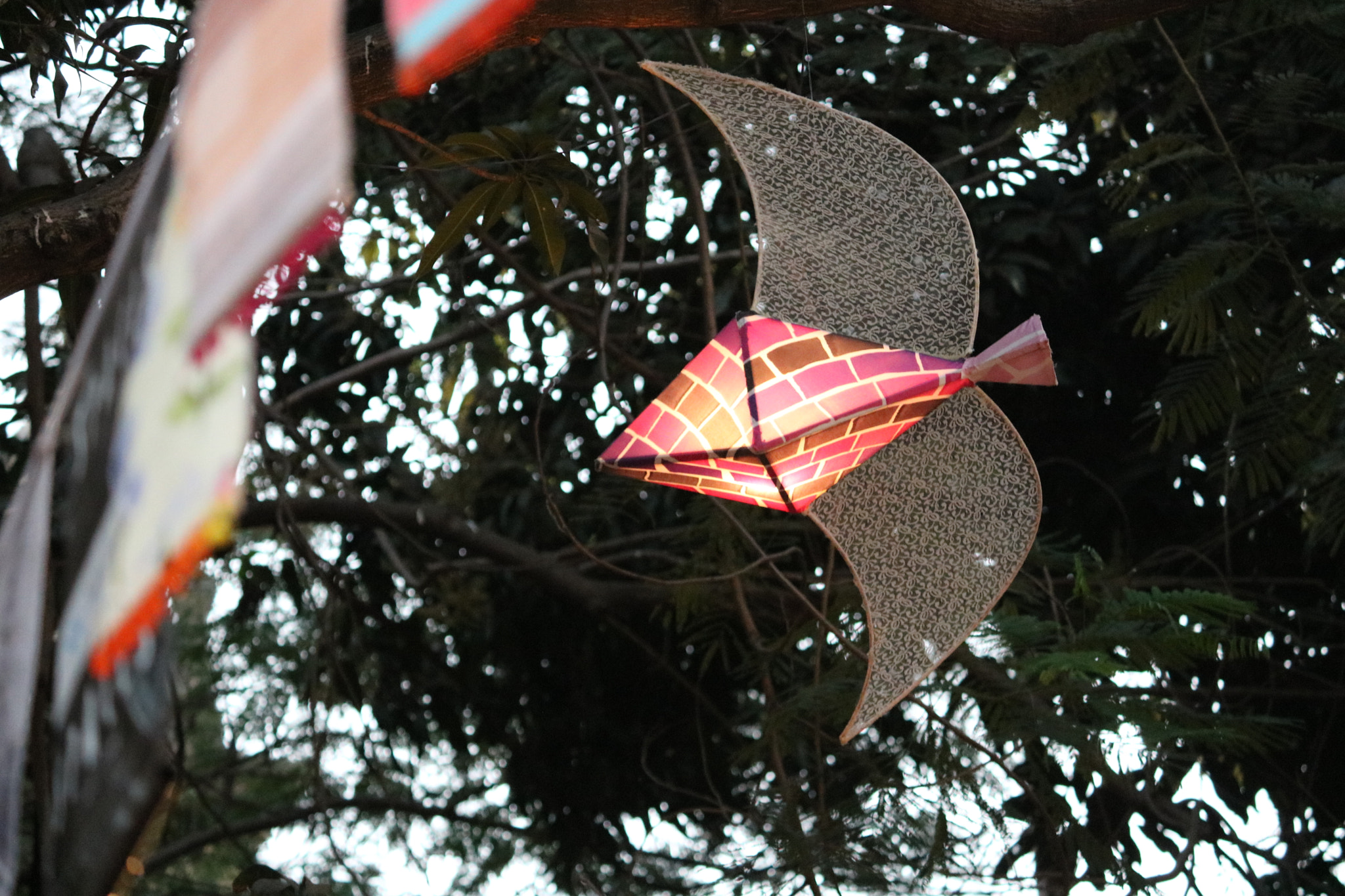 Canon EOS 760D (EOS Rebel T6s / EOS 8000D) sample photo