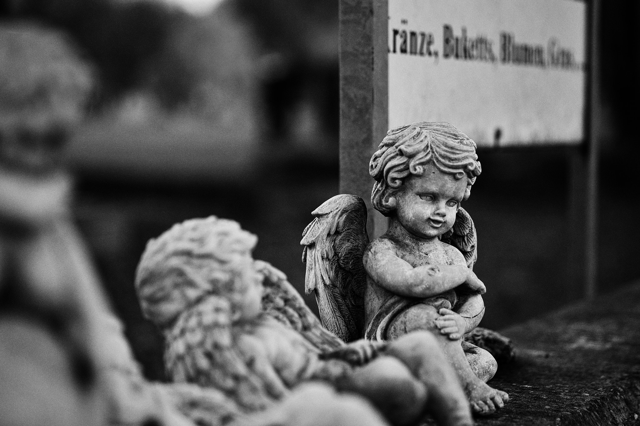 Fujifilm X-E1 + Fujifilm XF 60mm F2.4 R Macro sample photo. Small talk, wiener zentralfriedhof, fuji xe1 , xf60 photography