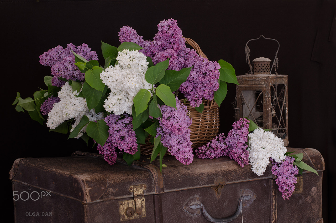Nikon D7000 + Nikon AF-S Nikkor 50mm F1.4G sample photo. Feast of old suitcases photography