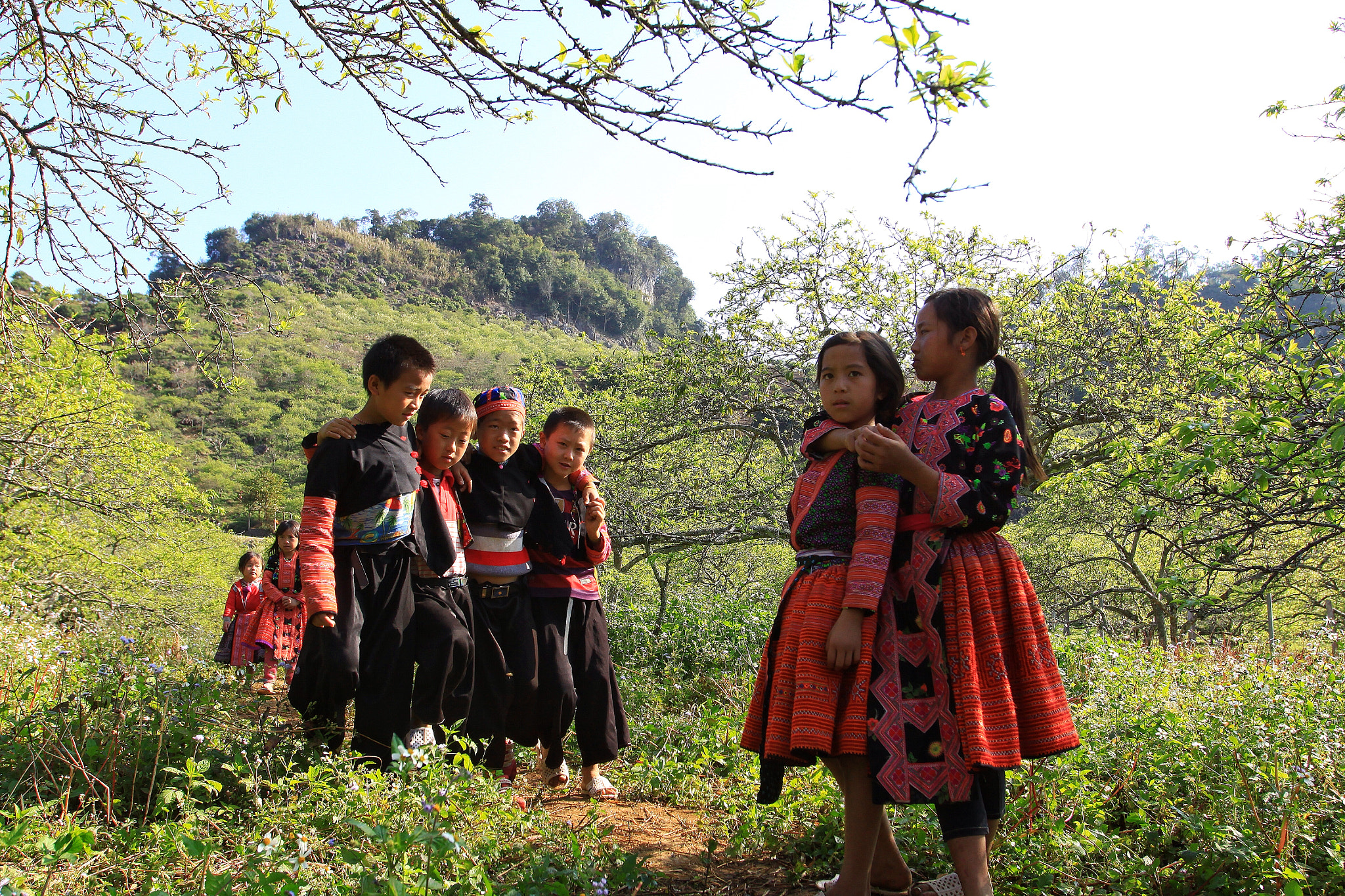 Canon EOS 50D + Canon EF 16-35mm F2.8L USM sample photo. The chldren of hmong photography