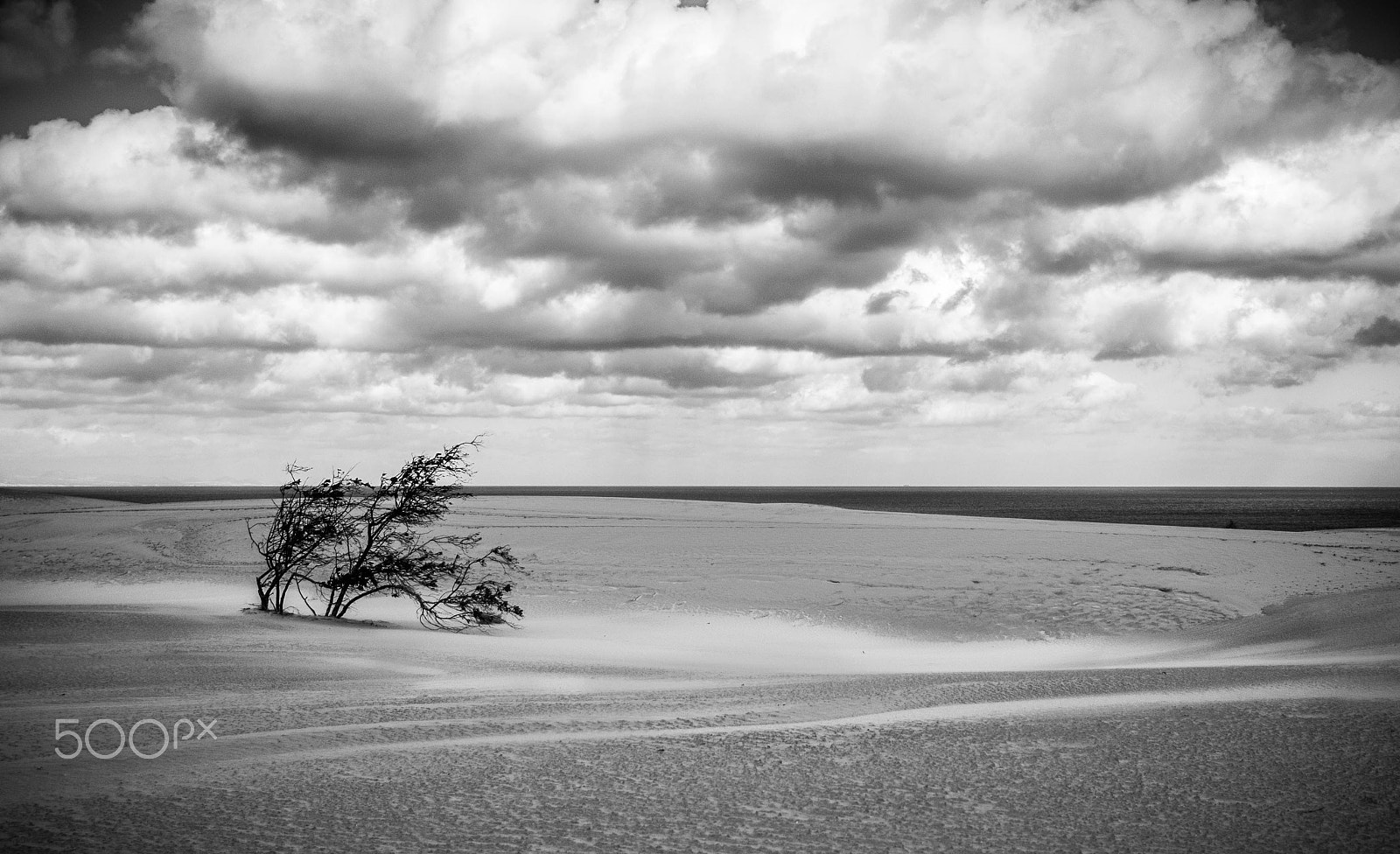 Nikon D300 sample photo. Nubes photography
