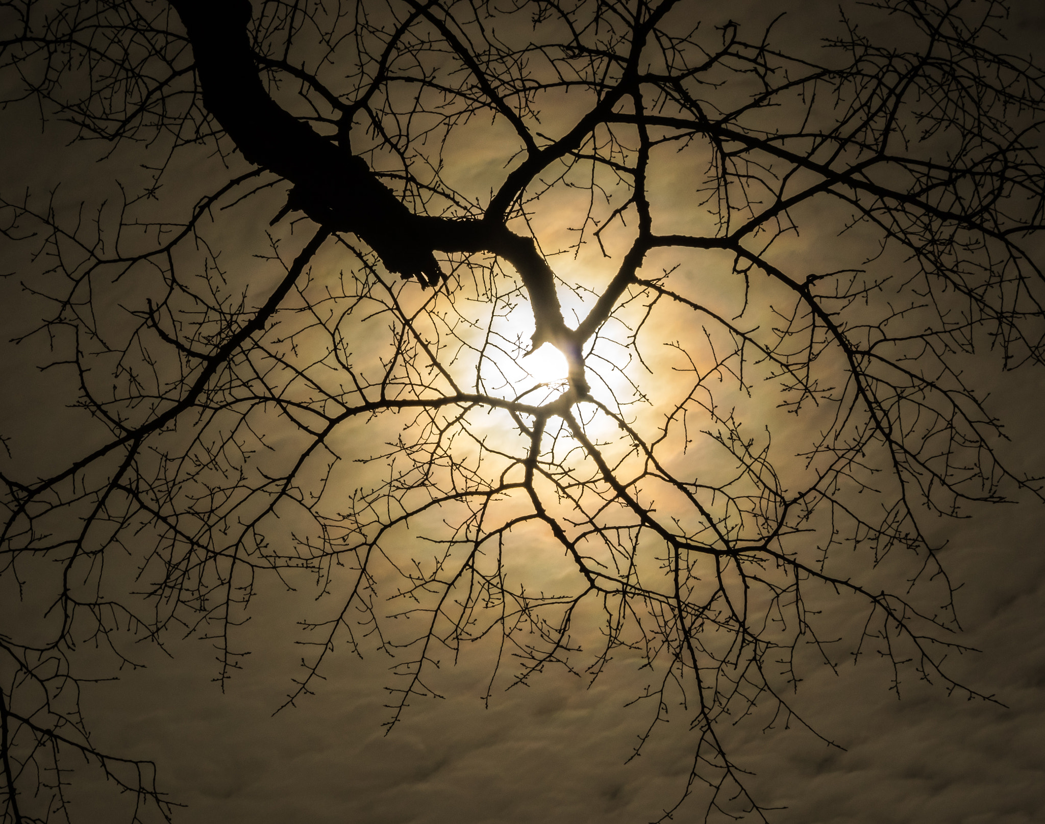 smc PENTAX-DA L 55-300mm F4-5.8 ED sample photo. Park art photography