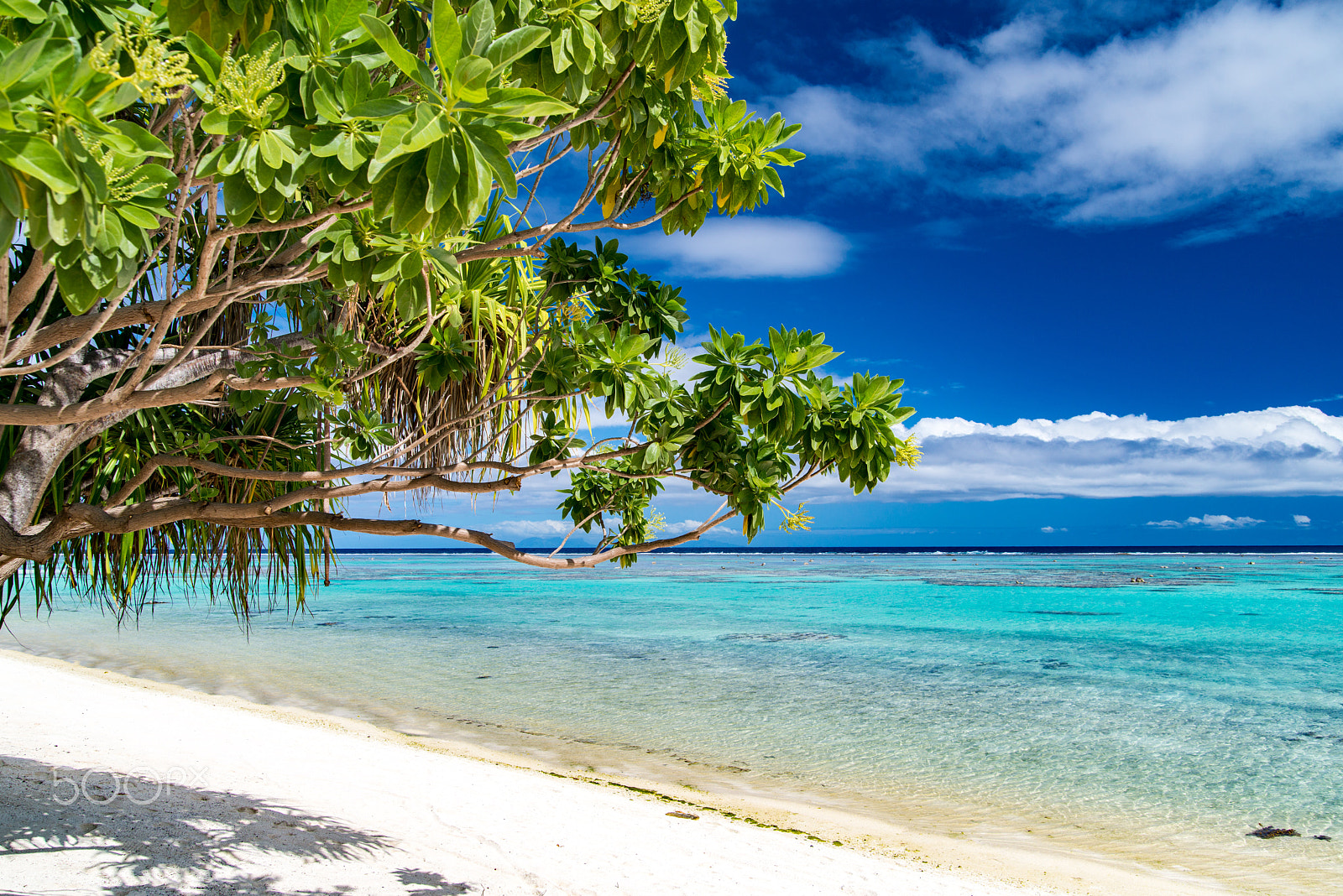Nikon D800 sample photo. Tetiaroa photography