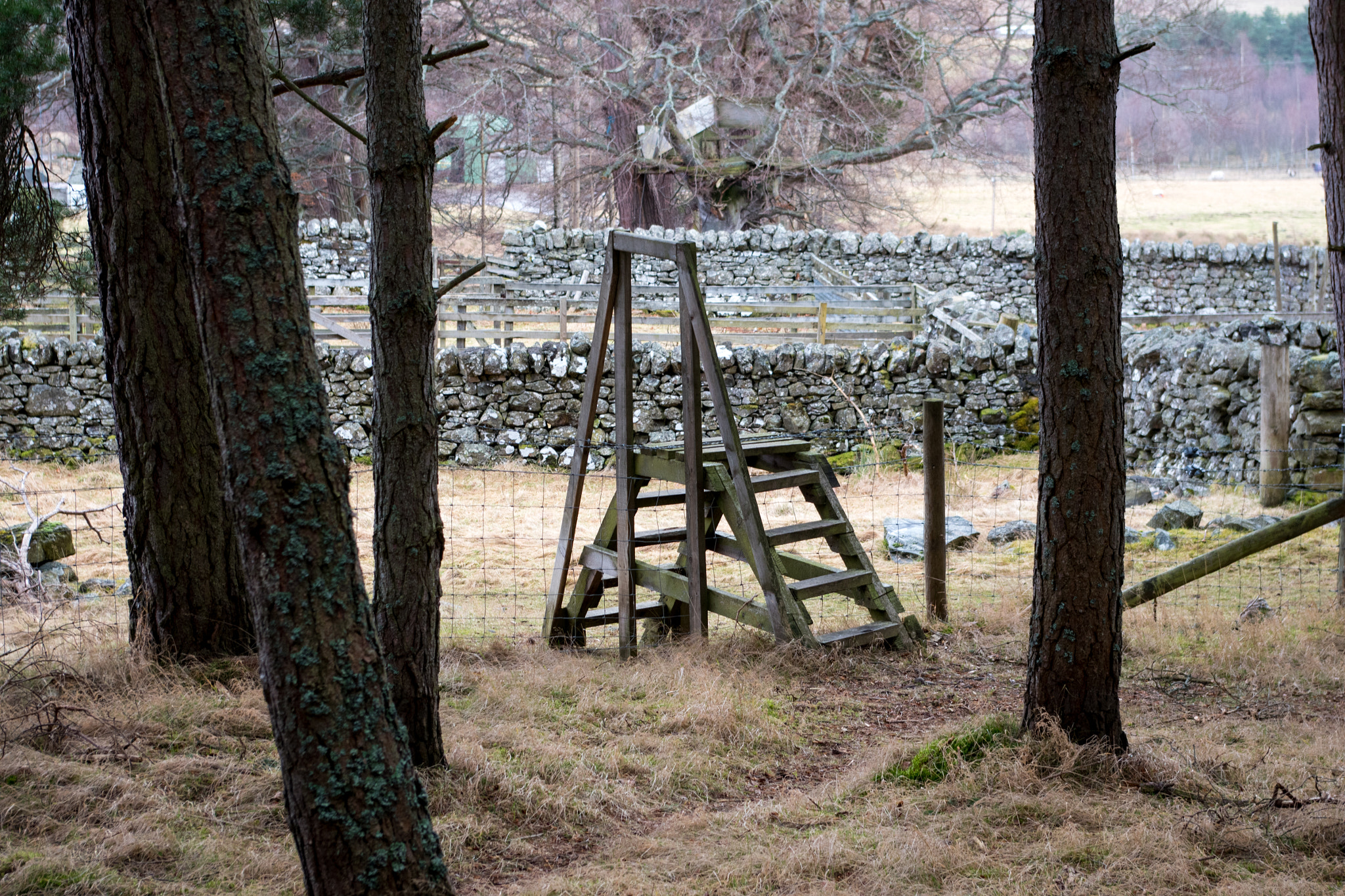 Pentax smc DA 18-55mm F3.5-5.6 AL sample photo. Stile photography