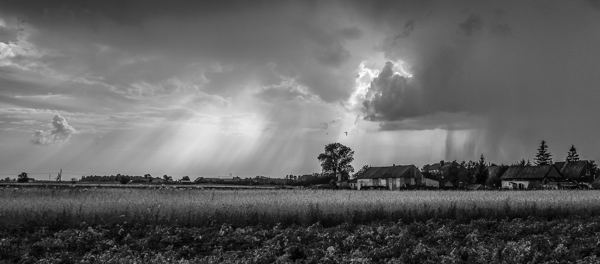 Pentax K-01 sample photo. Storm capture while in lithuania photography