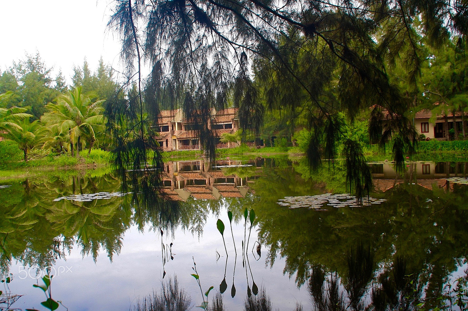 Canon EOS 40D sample photo. Tranquil photography