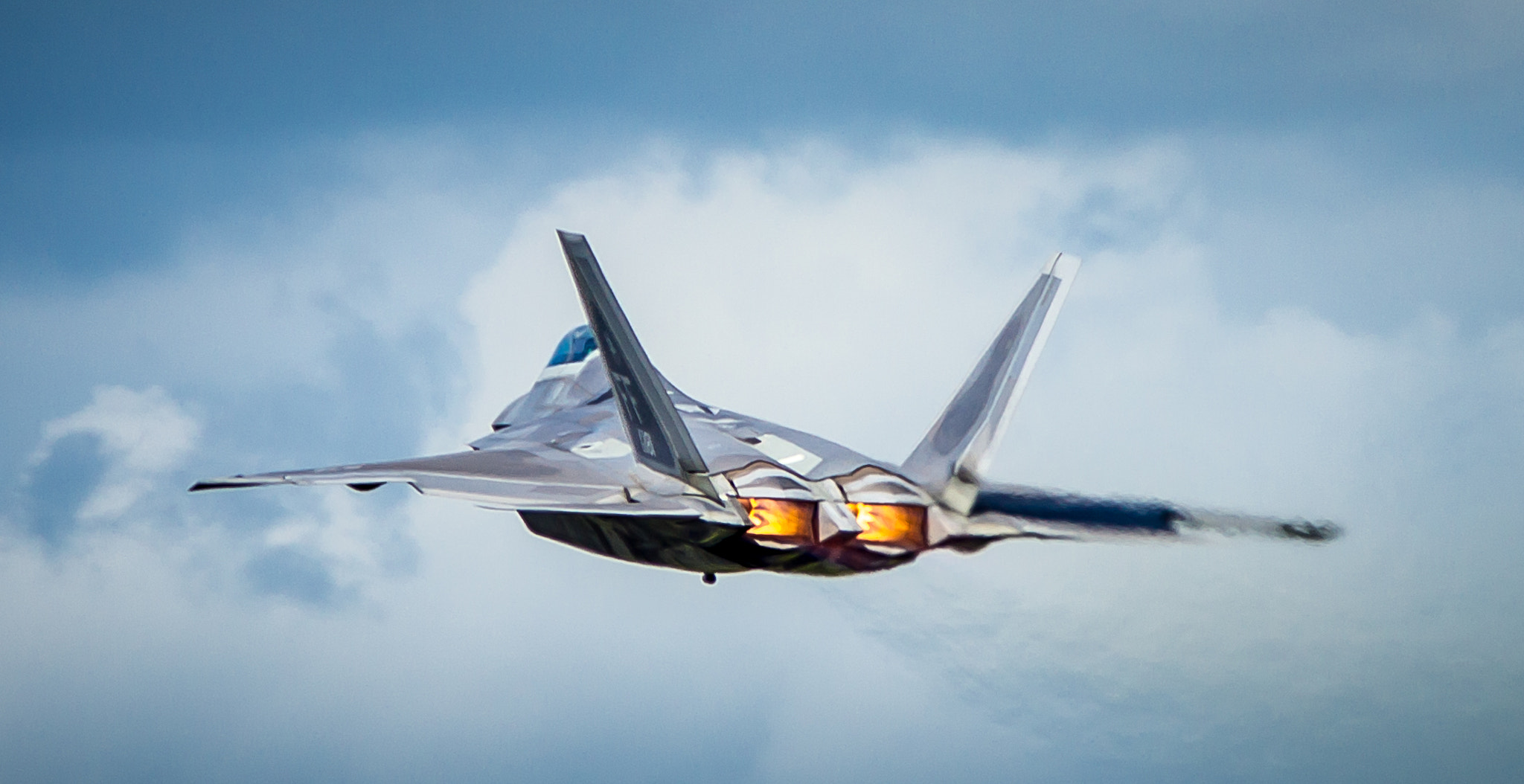 Sony SLT-A35 + Sigma 150-500mm F5-6.3 DG OS HSM sample photo. Usaf f22 raptor photography