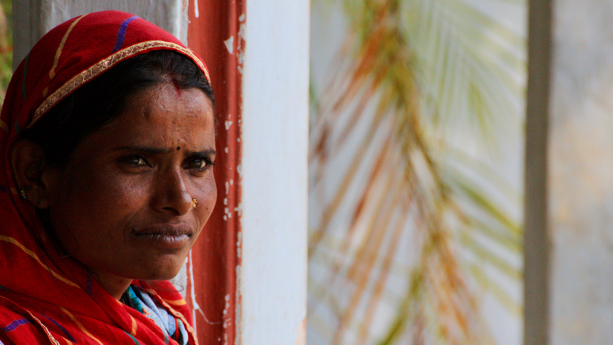 Canon EOS 650D (EOS Rebel T4i / EOS Kiss X6i) sample photo. Woman in india photography
