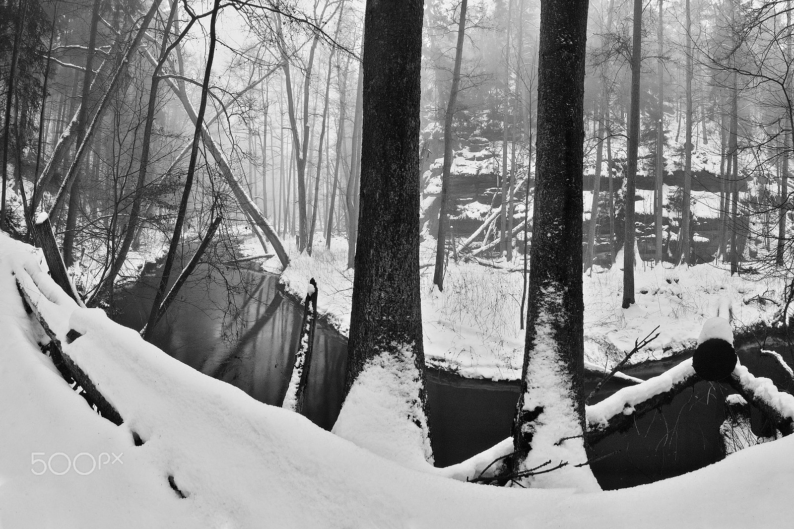 Nikon Coolpix P6000 sample photo. Meander of robecsky potok creek in peklo valley in snowy winter in machuv kraj region in czech... photography