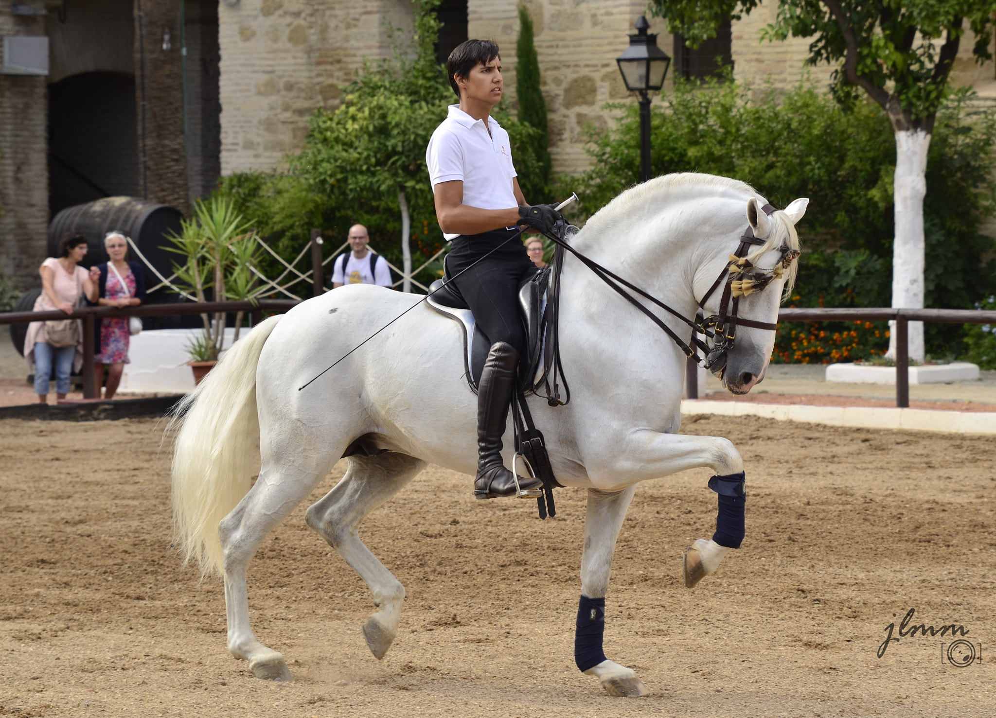 Tamron SP 24-70mm F2.8 Di VC USD sample photo. Horse-rider photography