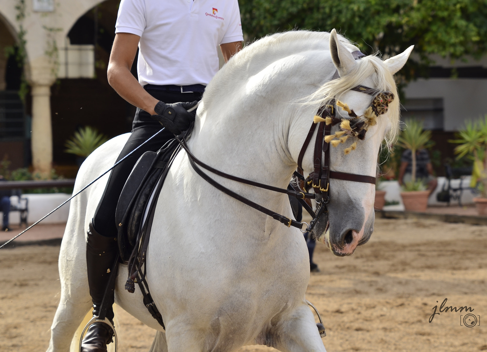 Tamron SP 24-70mm F2.8 Di VC USD sample photo. Horse-rider photography