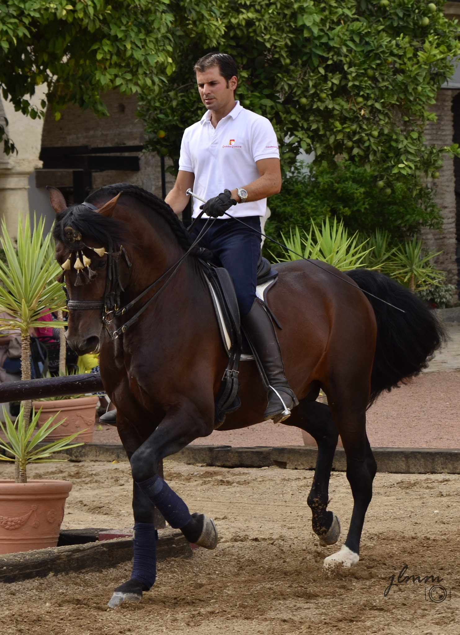 Tamron SP 24-70mm F2.8 Di VC USD sample photo. Horse-rider photography