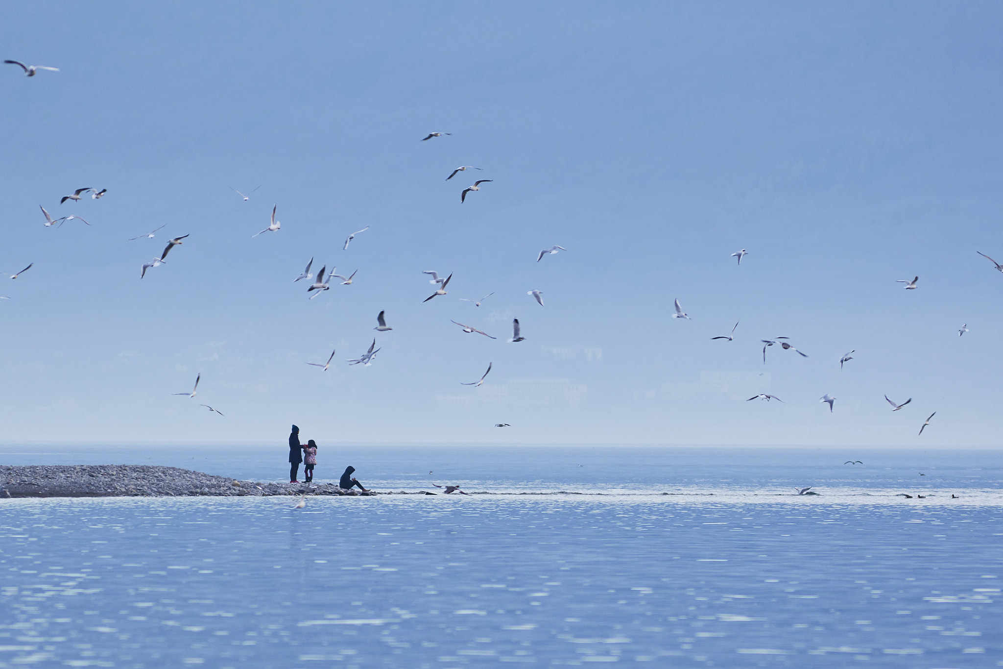 Canon EF 300mm F4L IS USM sample photo. People and gulls on lake shore photography