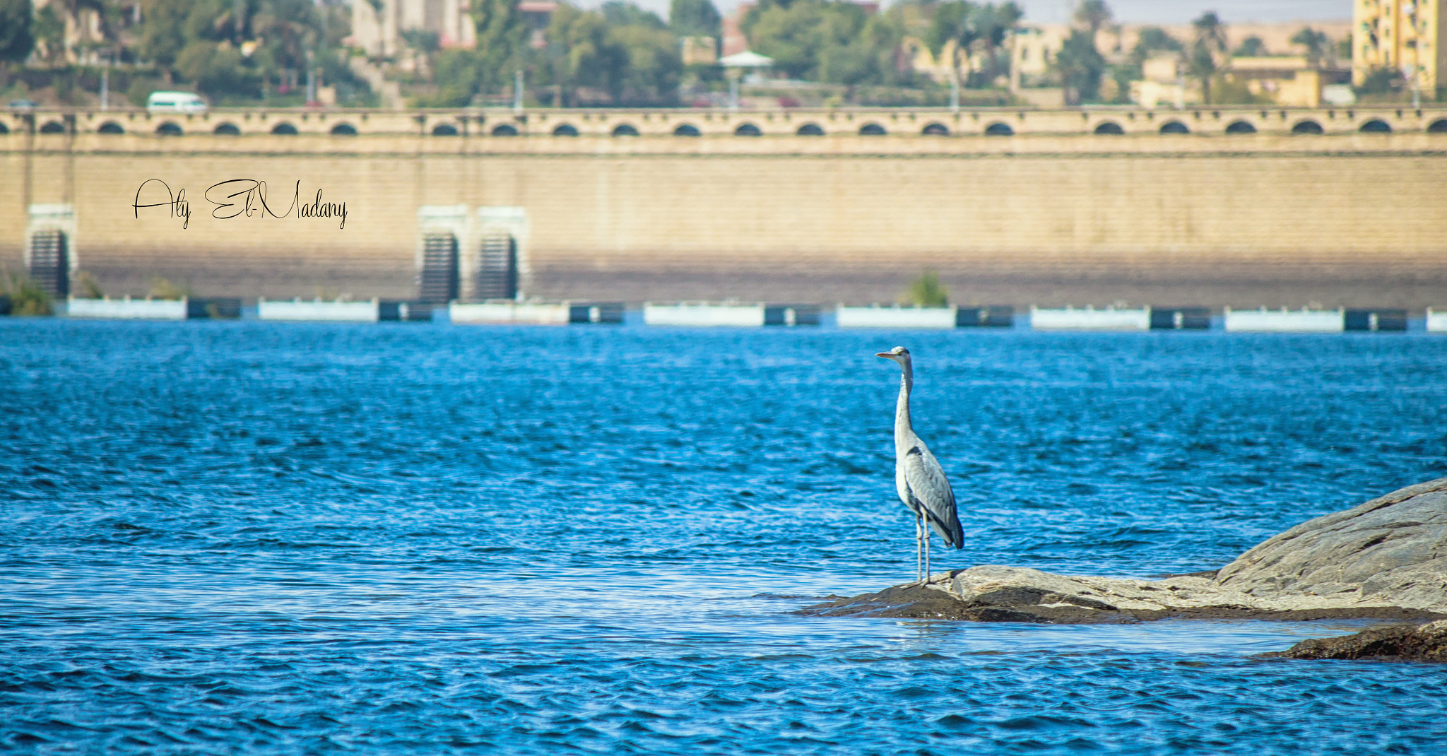 Canon EF-S 55-250mm F4-5.6 IS sample photo. Stand photography