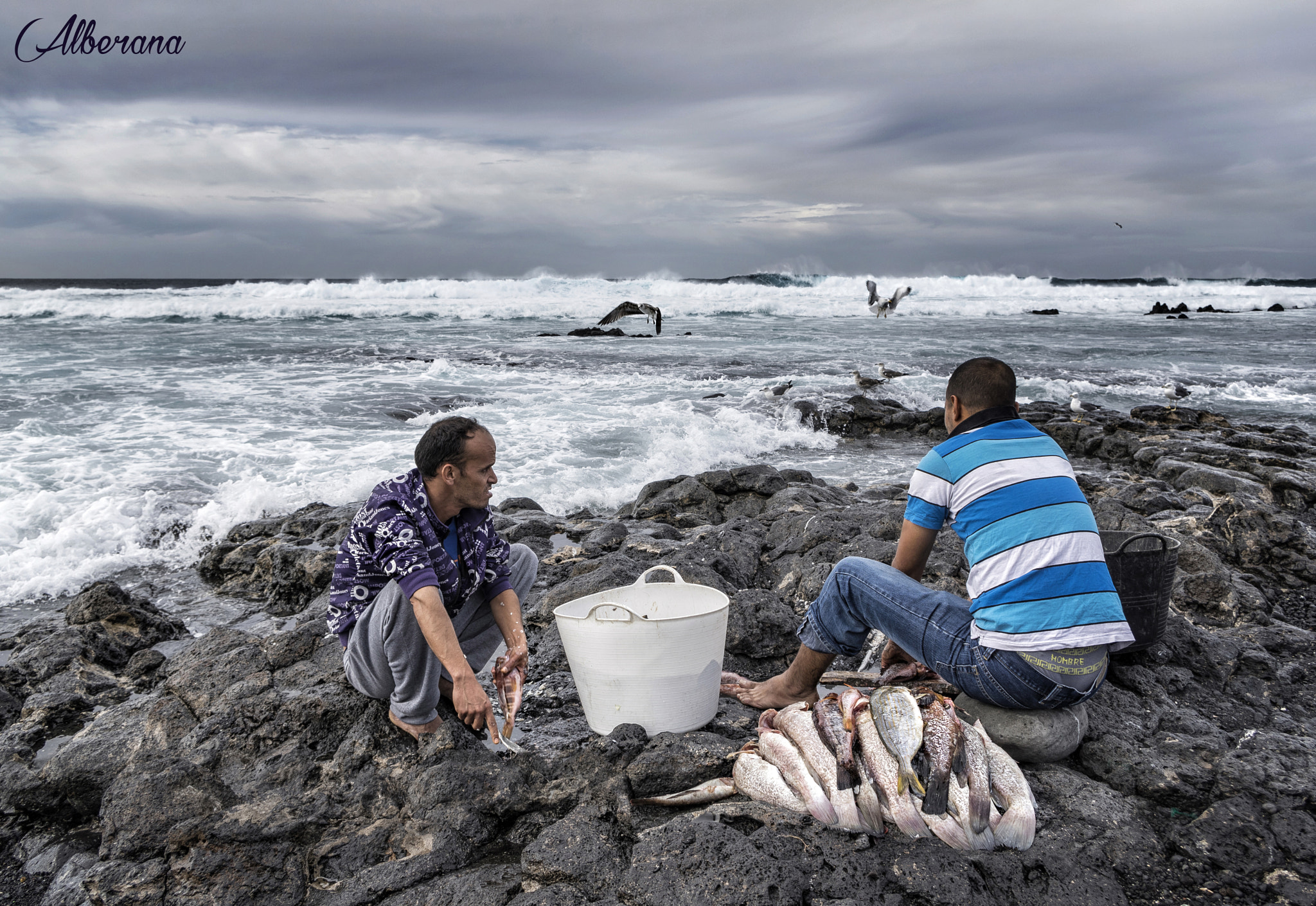 Pentax K-3 + smc PENTAX-DA L 18-55mm F3.5-5.6 AL WR sample photo. And they still say fish is expensive! photography