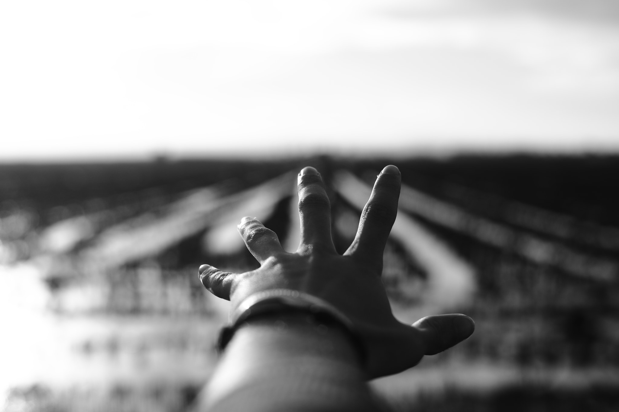 Canon EOS 5DS + Canon EF 50mm F1.8 STM sample photo. Hand bokeh photography