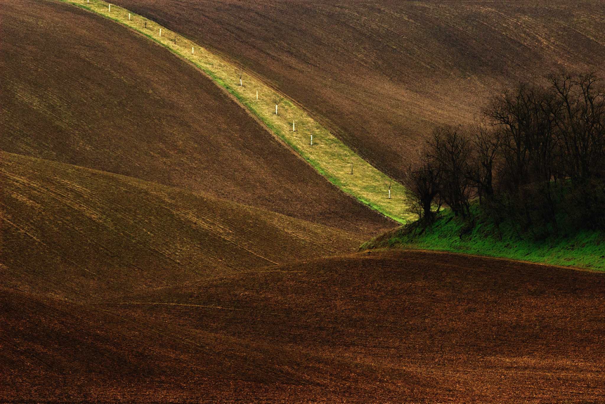 Sigma 150-500mm F5-6.3 DG OS HSM sample photo. Šardicko photography