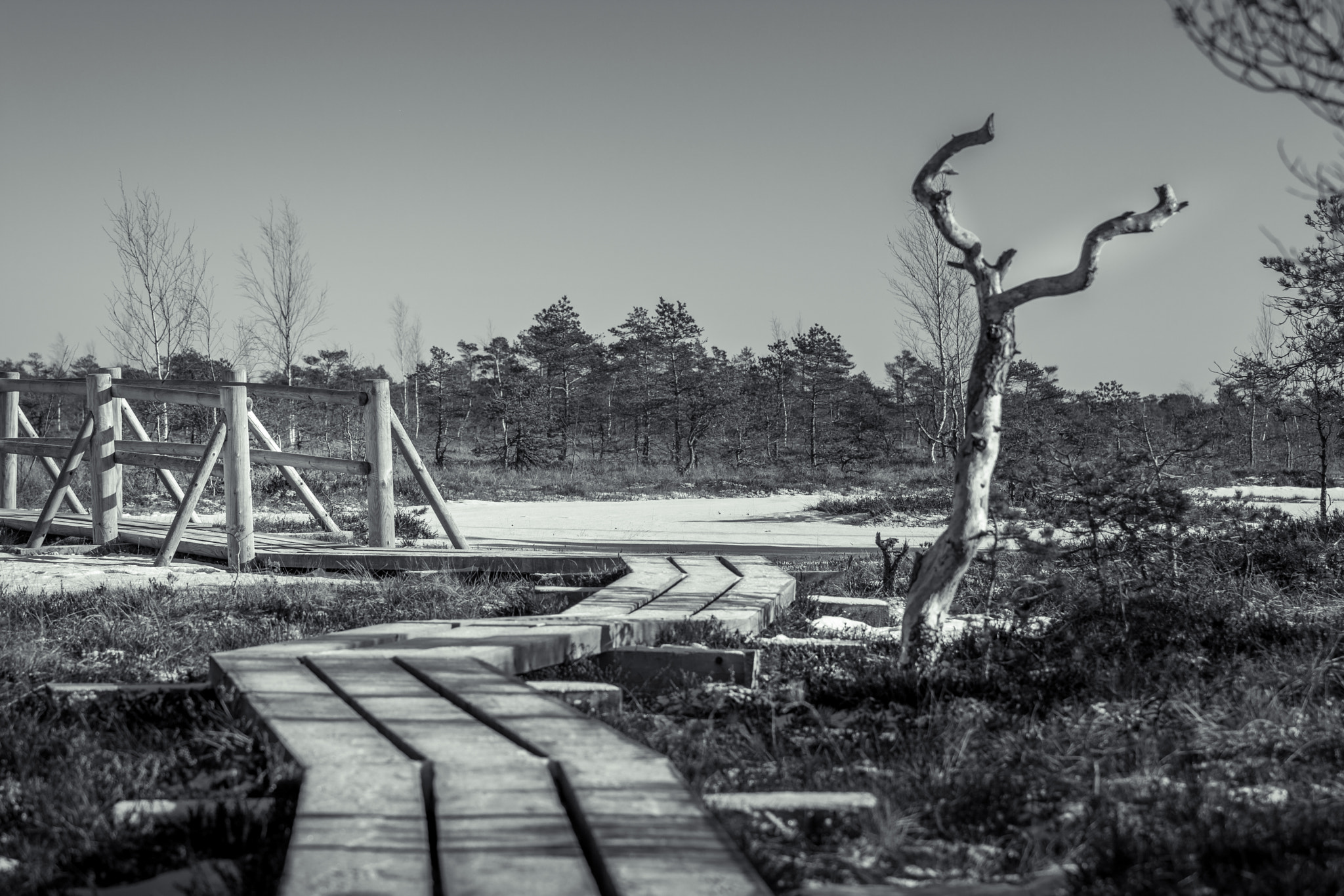 Nikon AF-S Nikkor 70-200mm F2.8G ED VR II sample photo. Wooden trail leading through a frozen bog photography