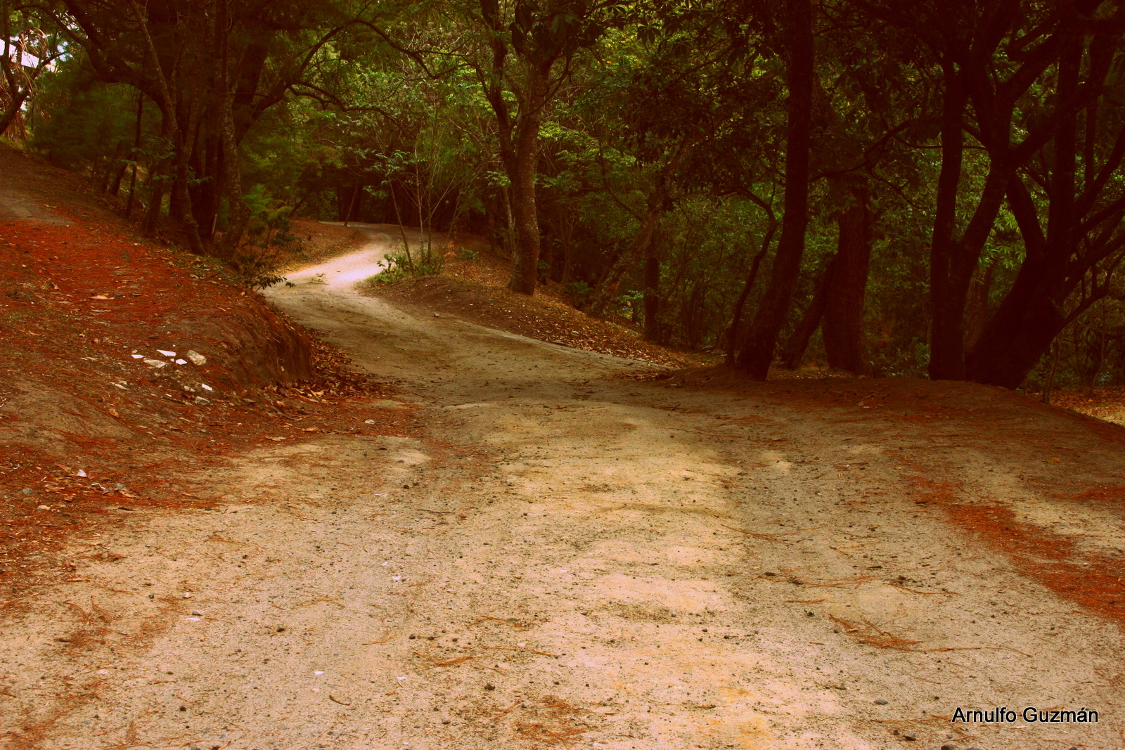 Canon EOS 450D (EOS Rebel XSi / EOS Kiss X2) sample photo. Dispuesto a superarte photography